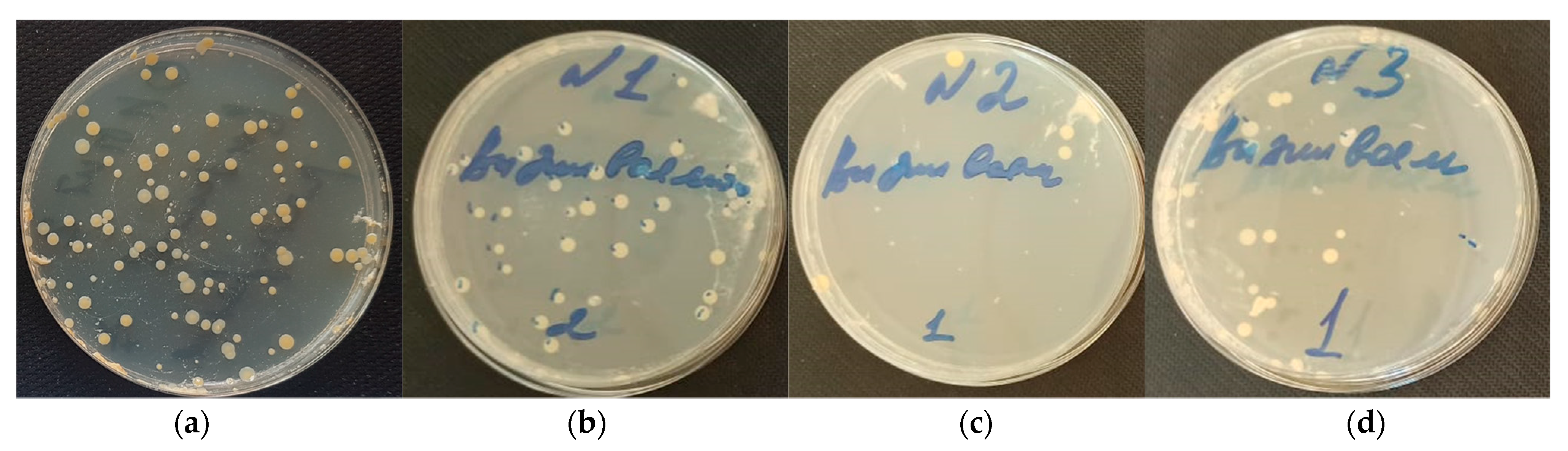 Colloids 06 00035 g005