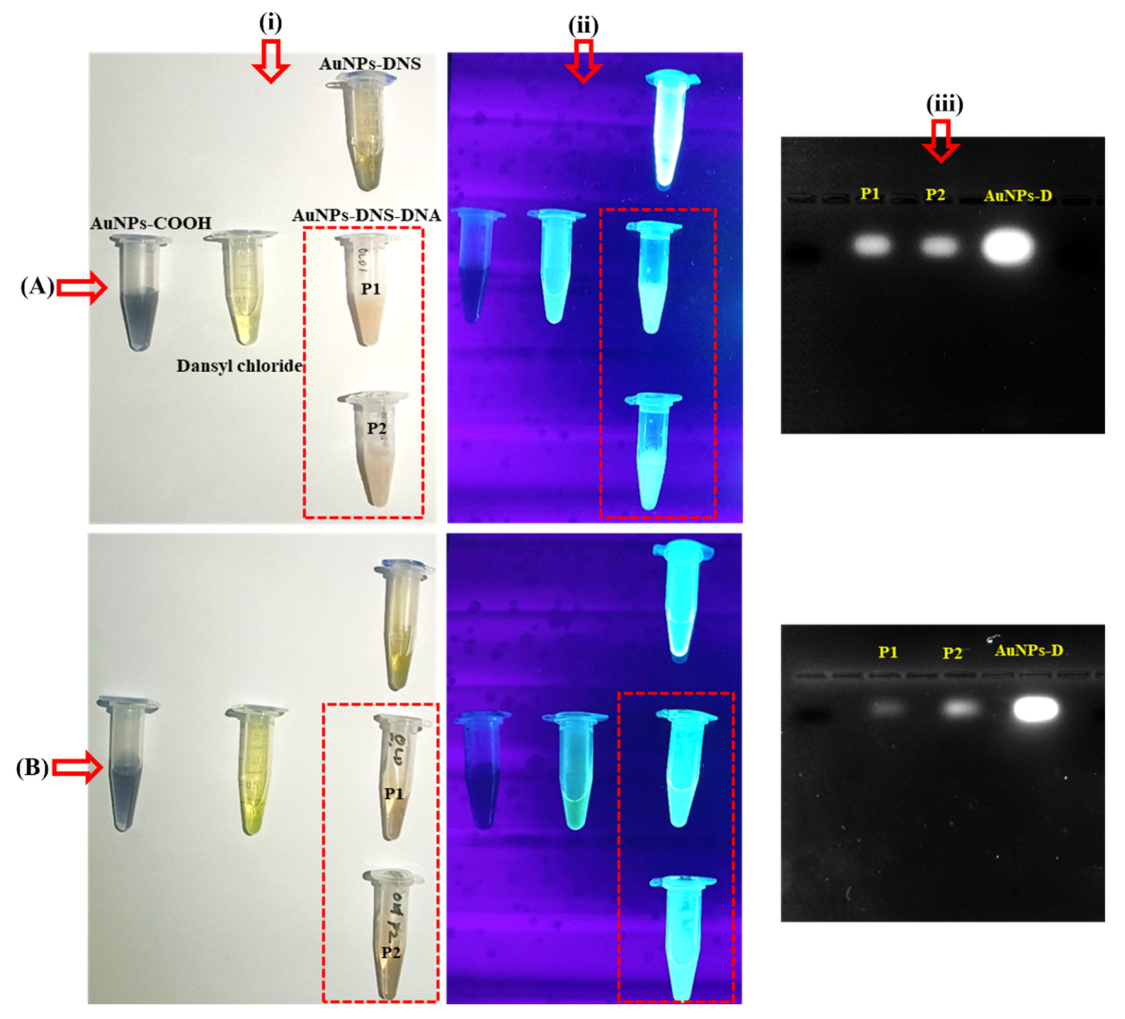 Colloids 06 00042 g004