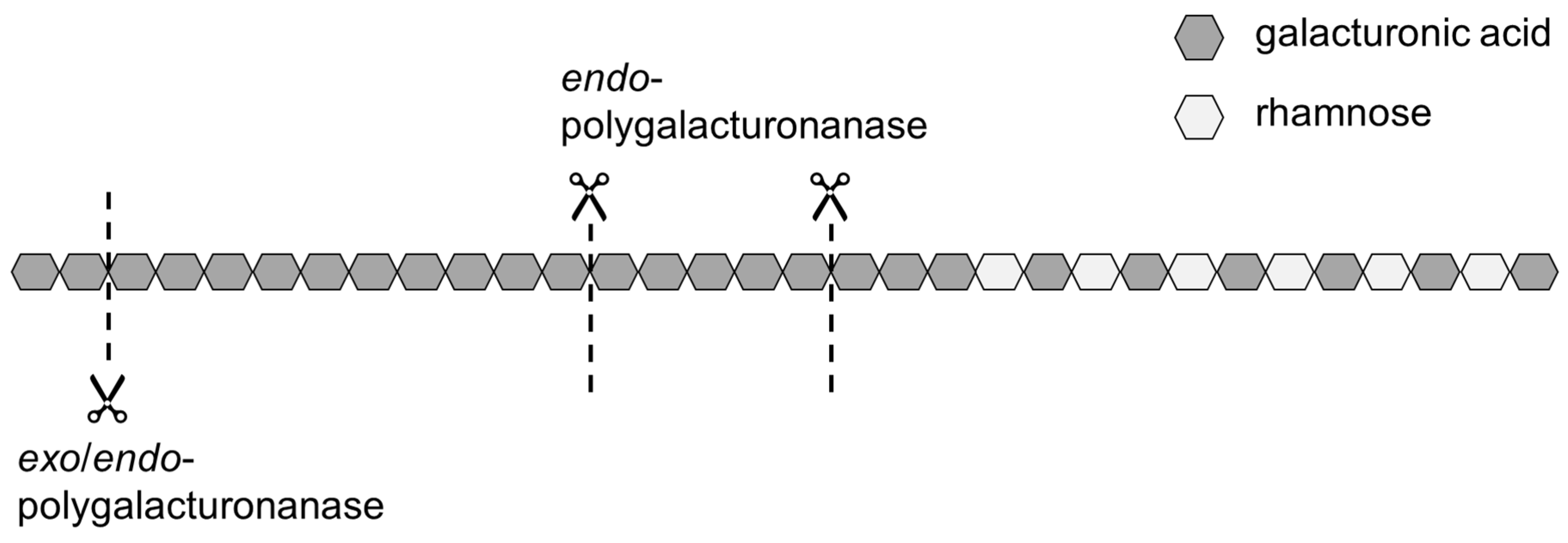 Colloids 06 00069 g001 550