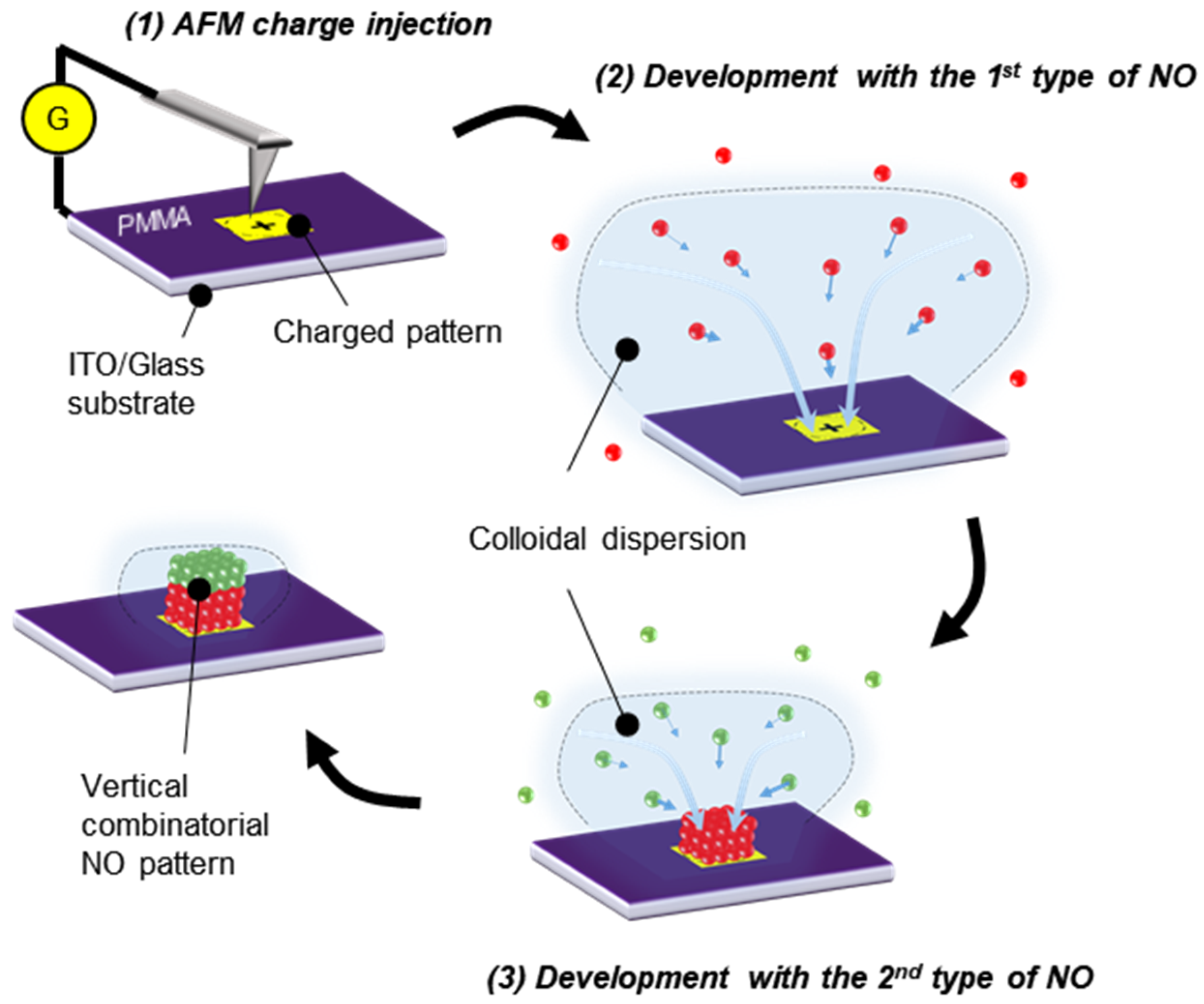 Colloids 07 00006 g001