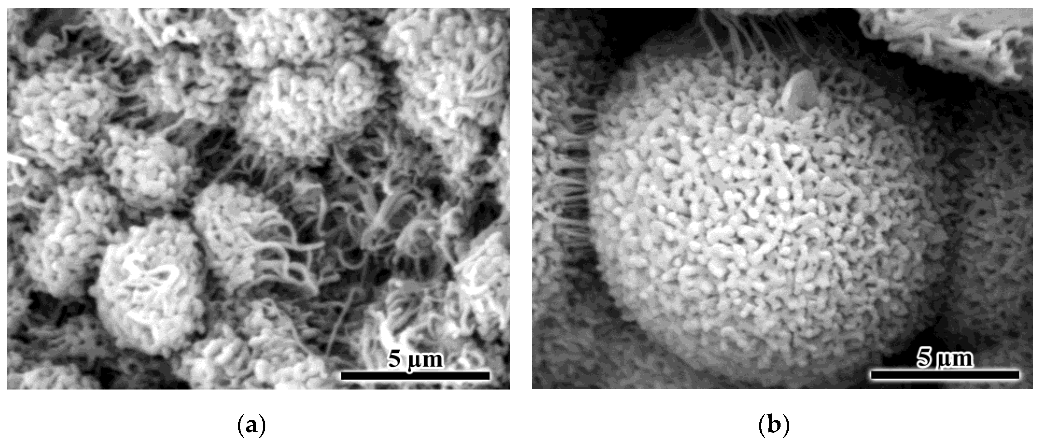 Colloids 07 00010 g008