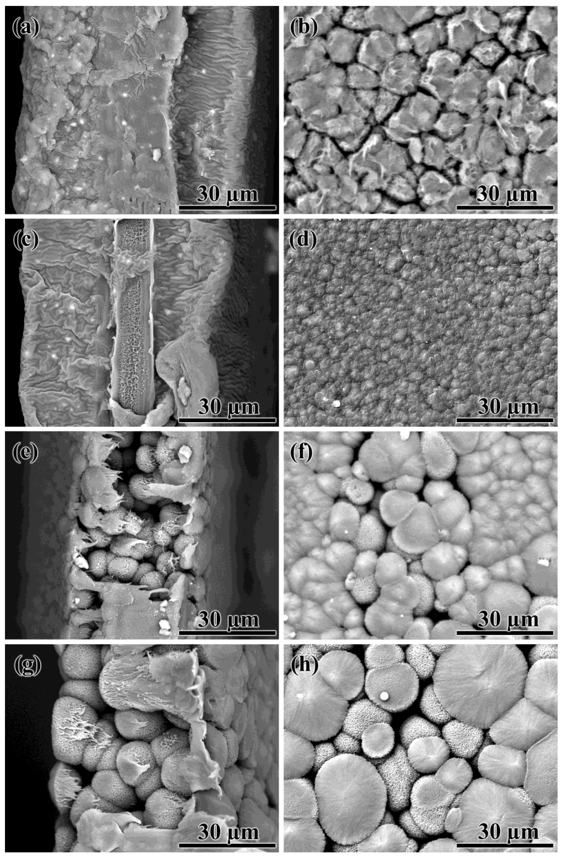 Colloids 07 00010 g009