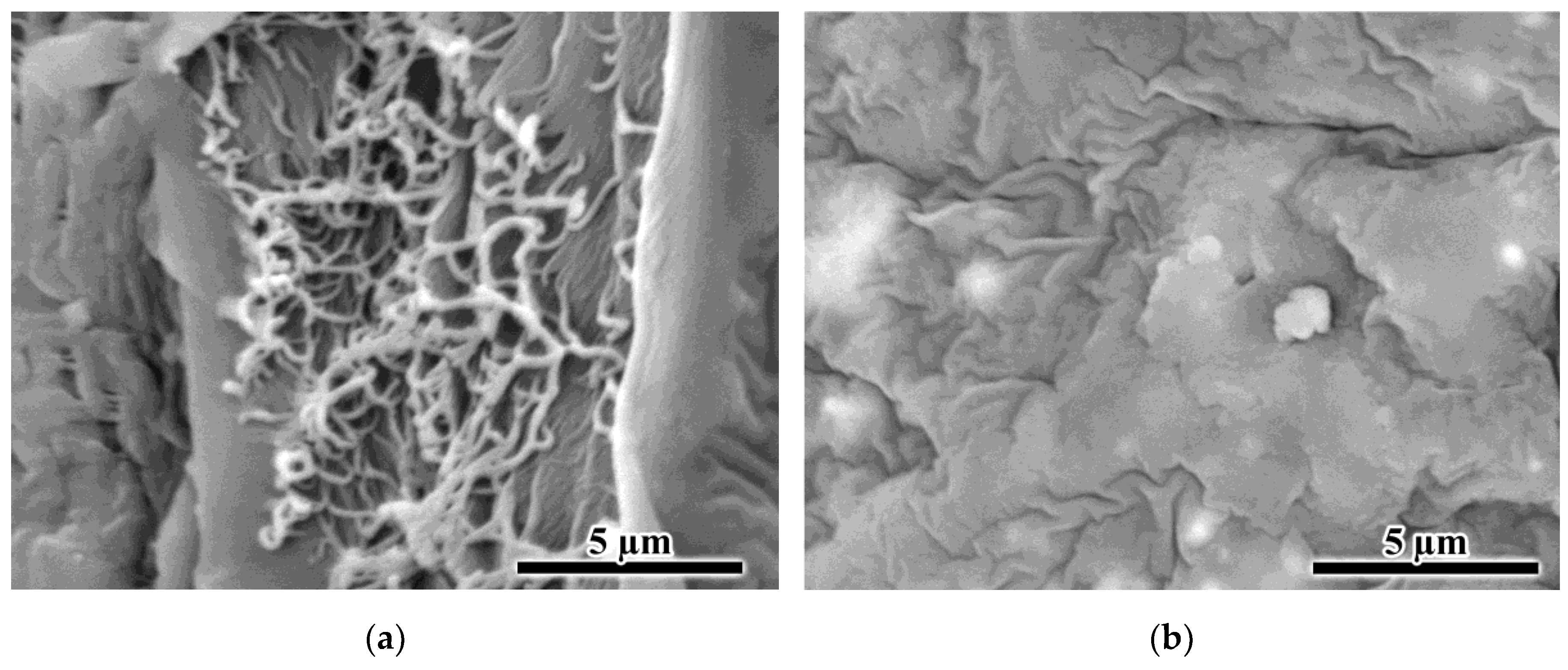 Colloids 07 00010 g010