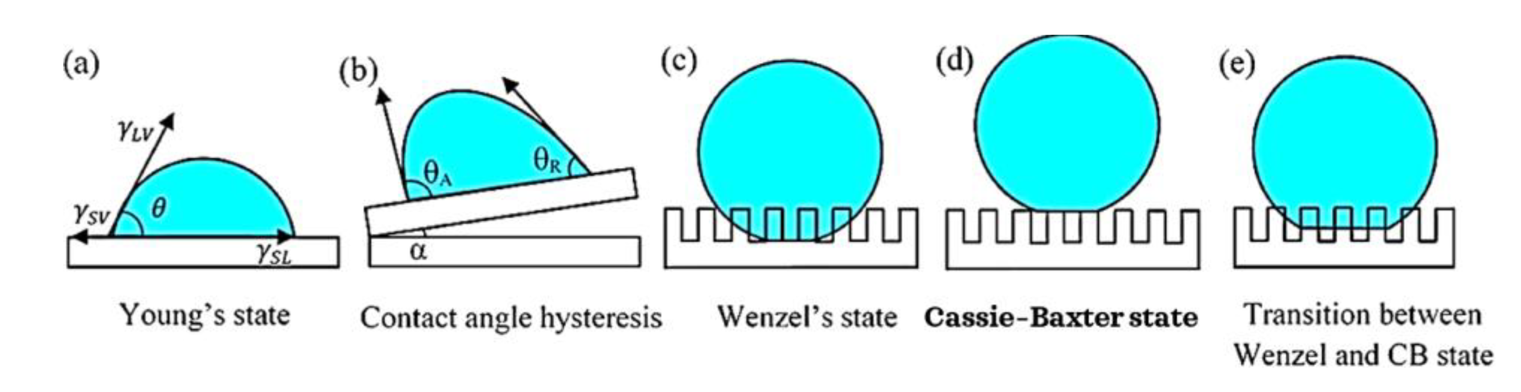 Colloids 07 00011 g002