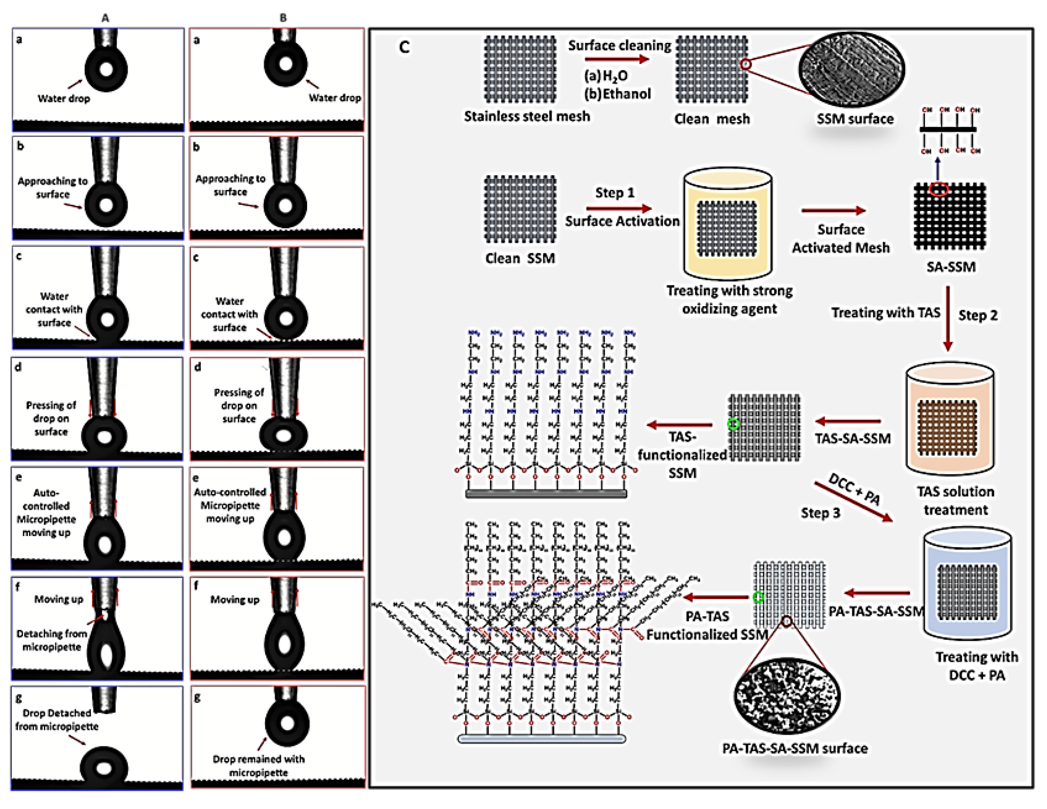 Colloids 07 00011 g005