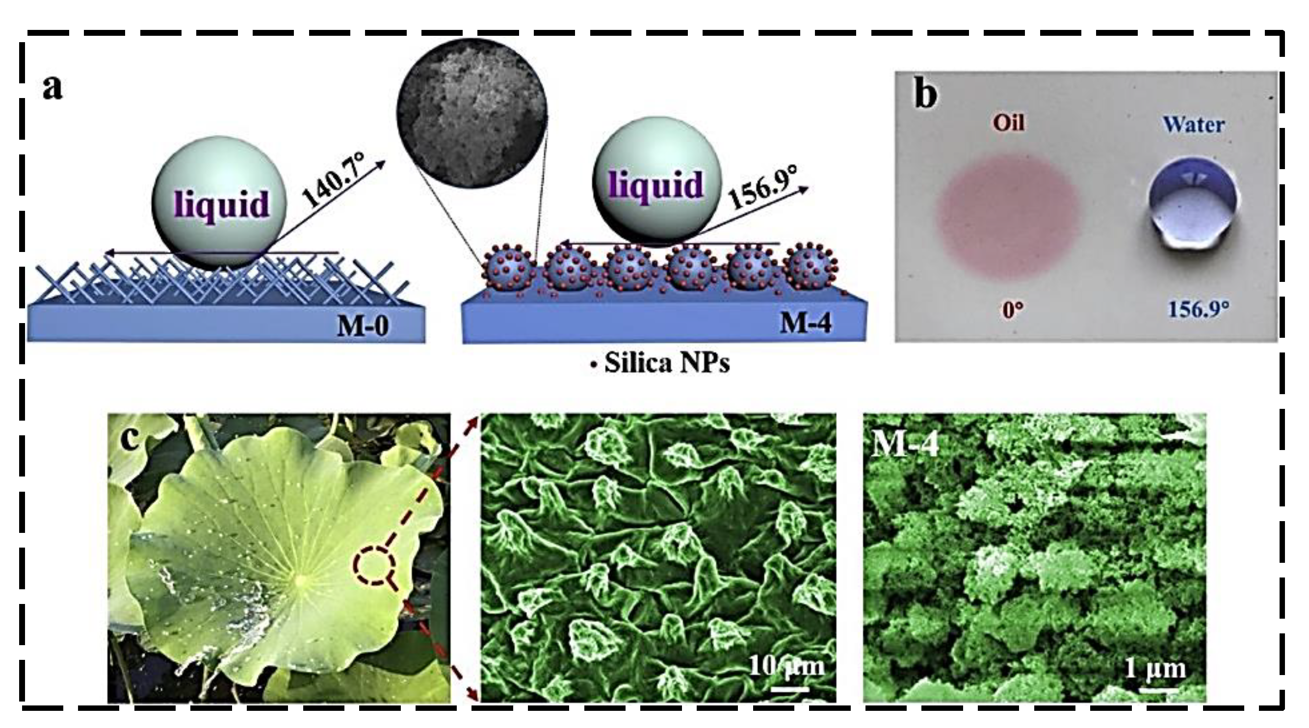 Colloids 07 00011 g006