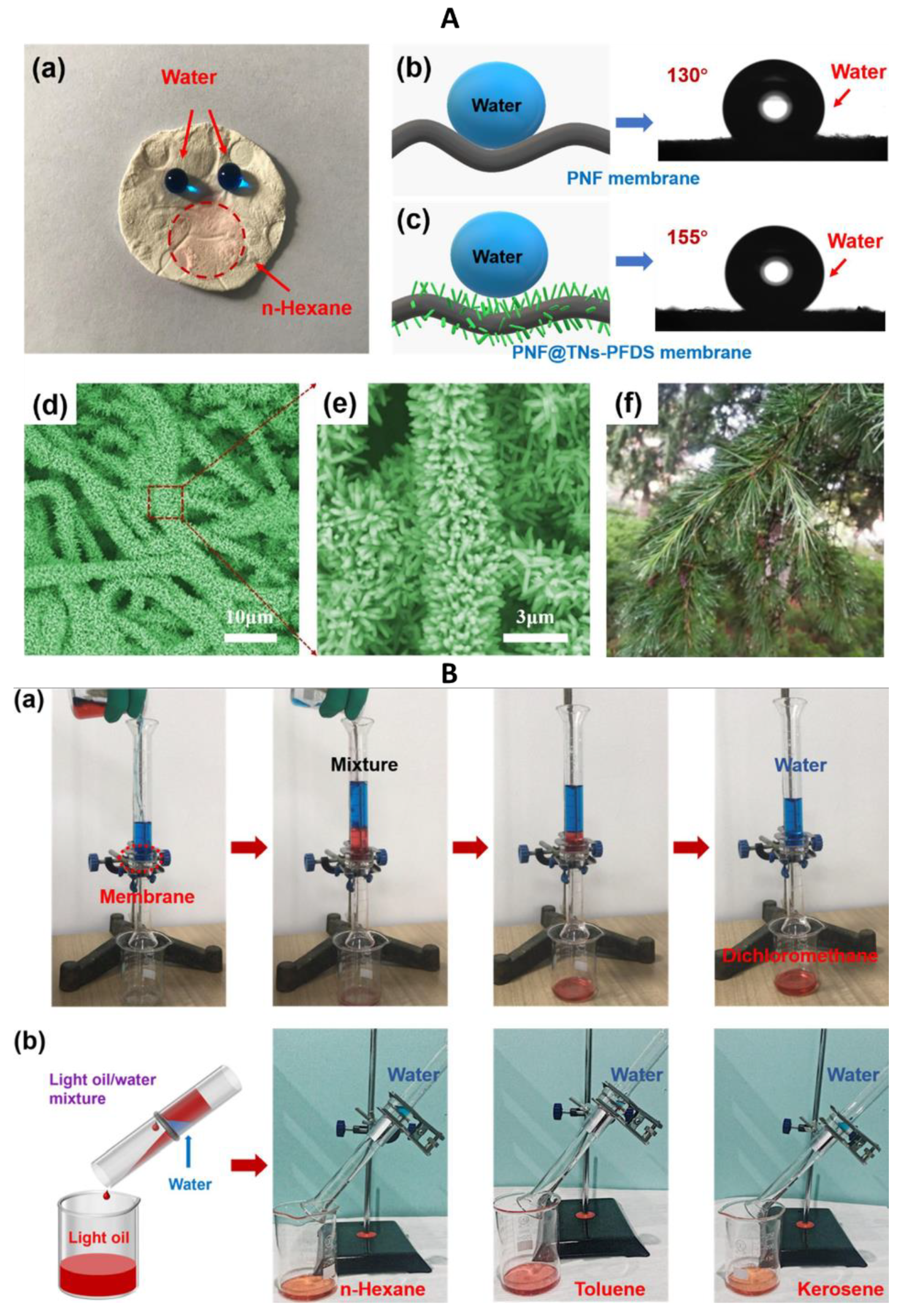 Colloids 07 00011 g008