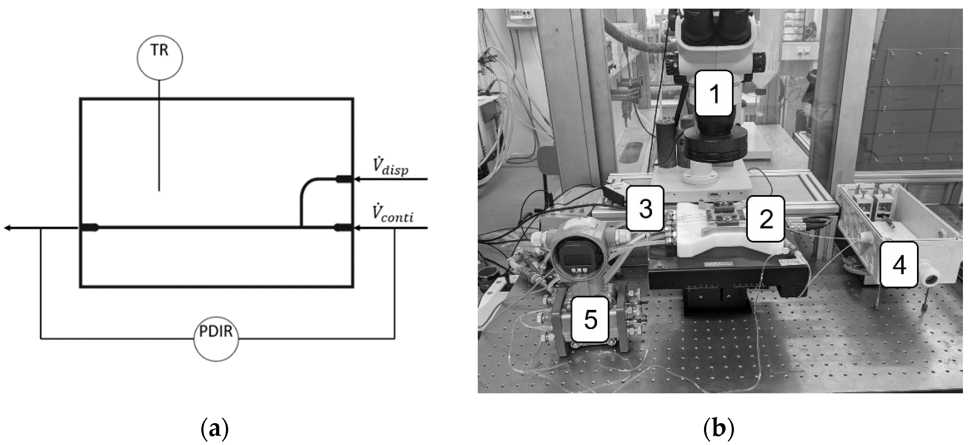 Colloids 07 00012 g001 Colloids 07 00012 g001