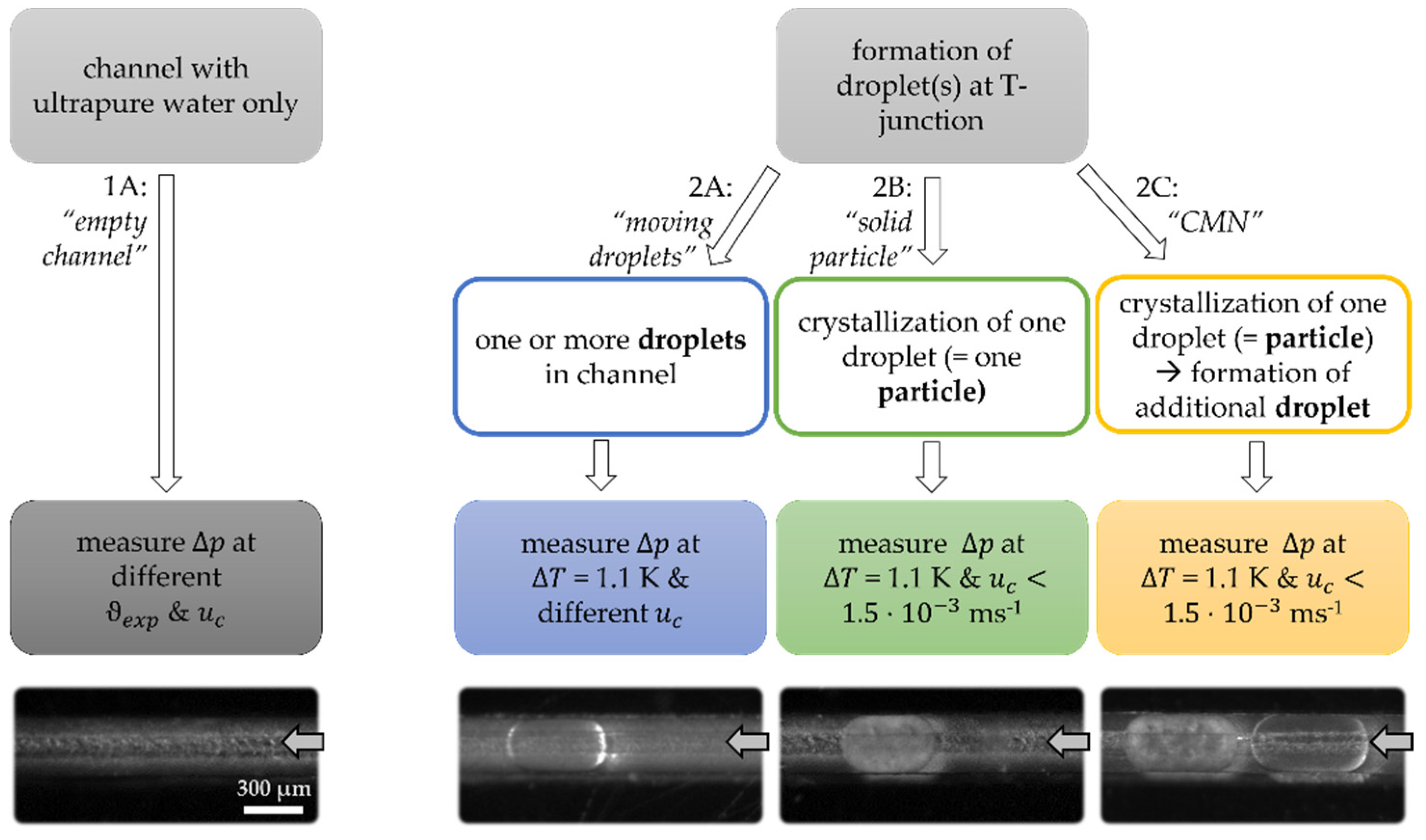 Colloids 07 00012 g002 Colloids 07 00012 g002