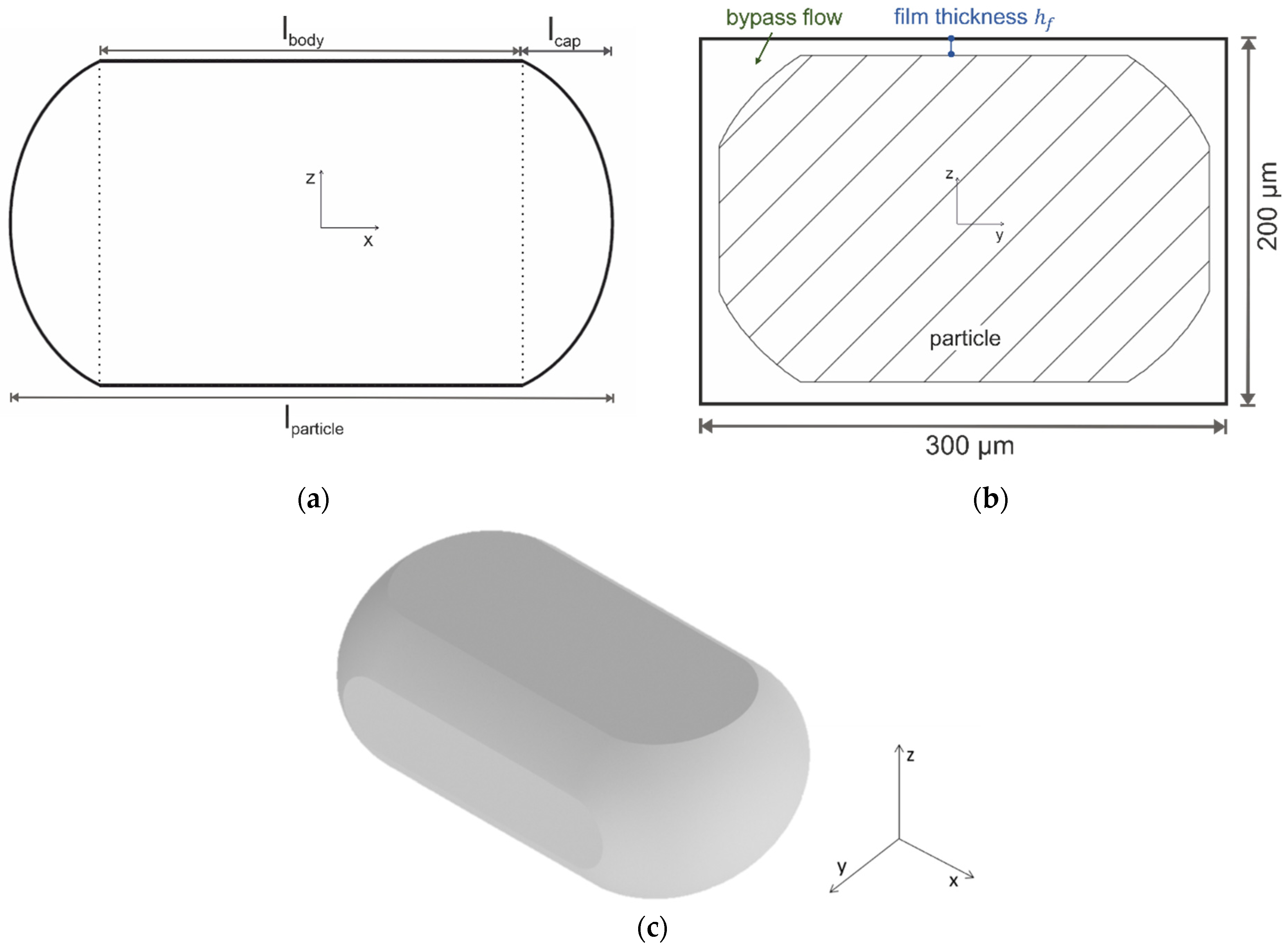 Colloids 07 00012 g004 Colloids 07 00012 g004
