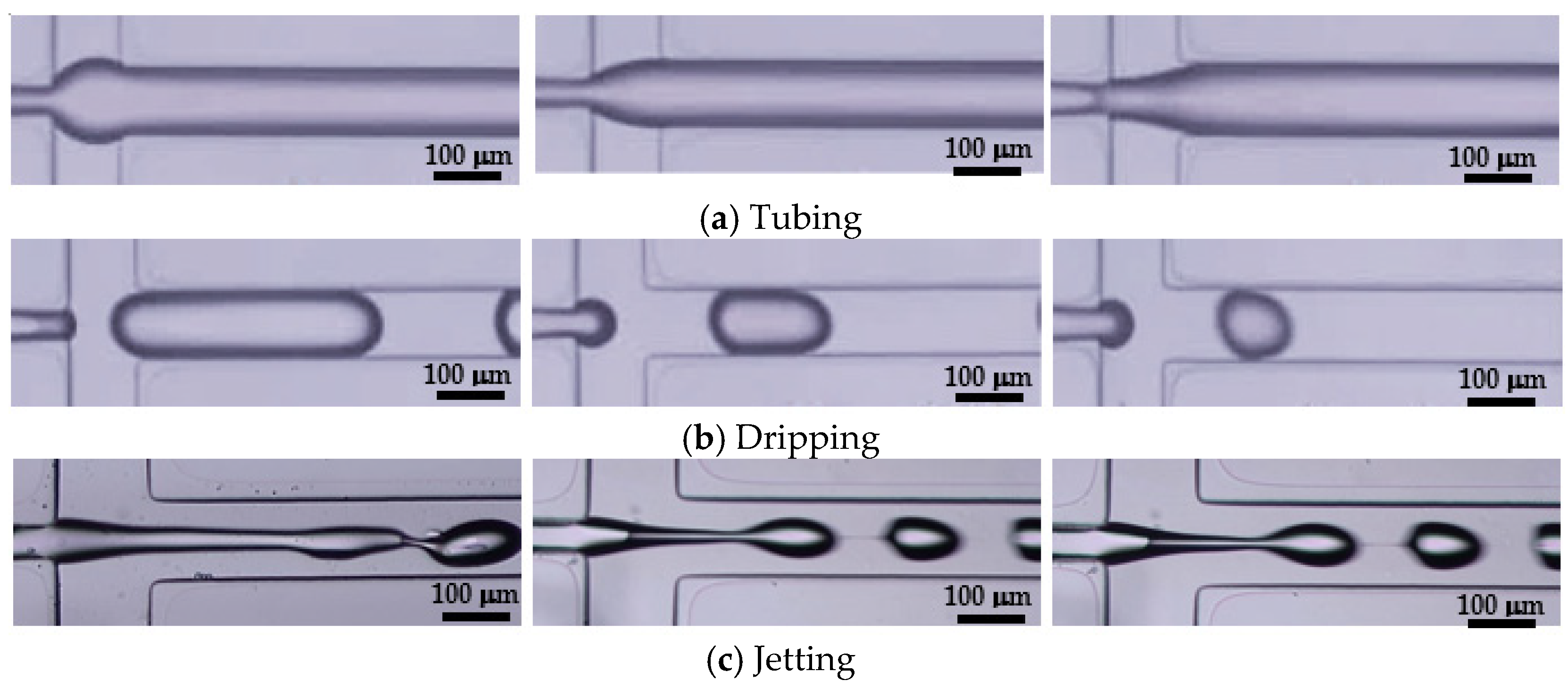 Colloids 07 00017 g002