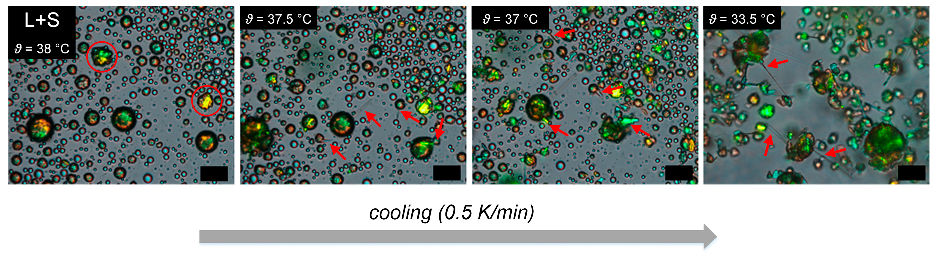 Colloids 07 00022 g0a1 Colloids 07 00022 g0a1