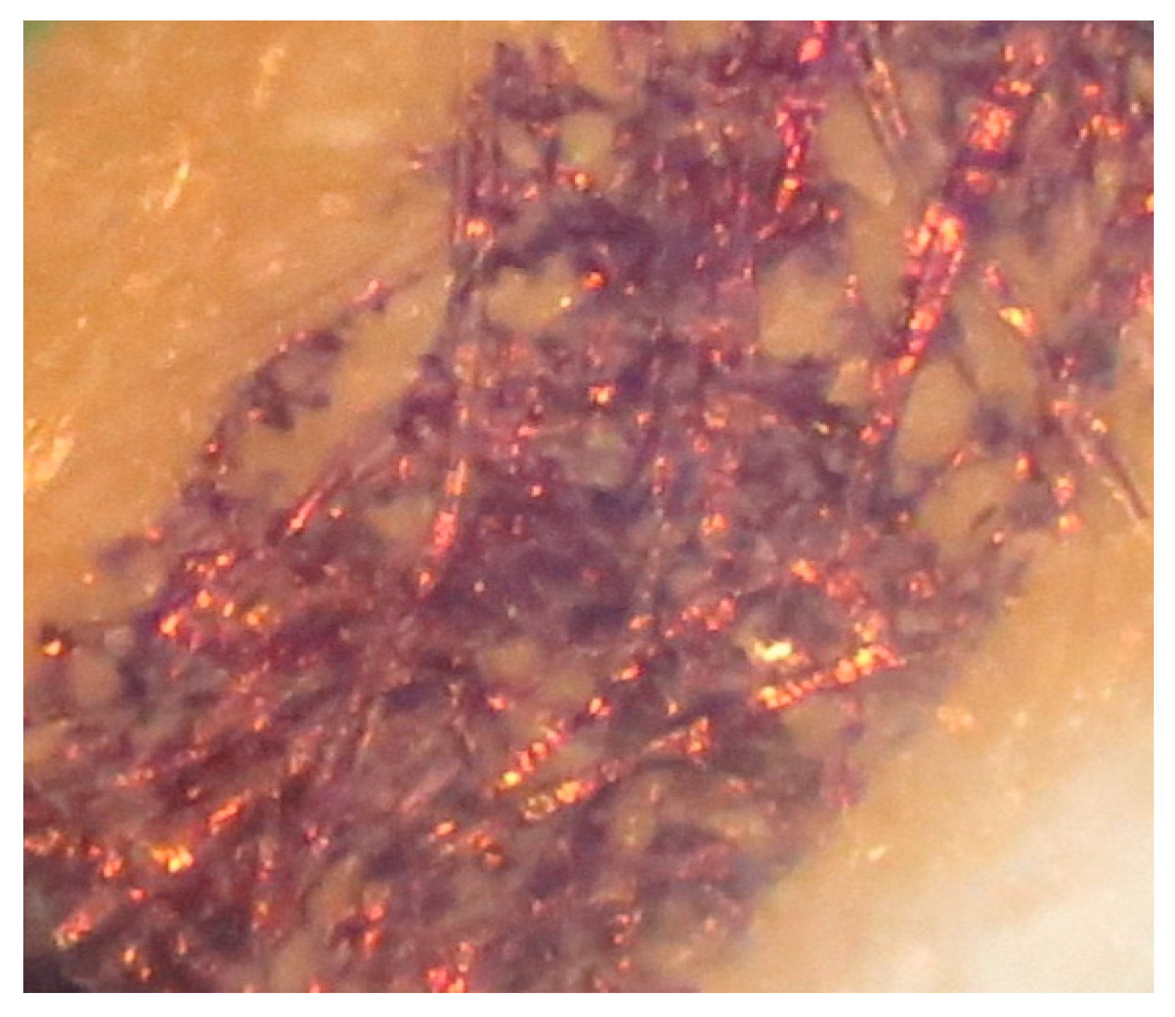 Colloids 07 00029 g002 Colloids 07 00029 g002