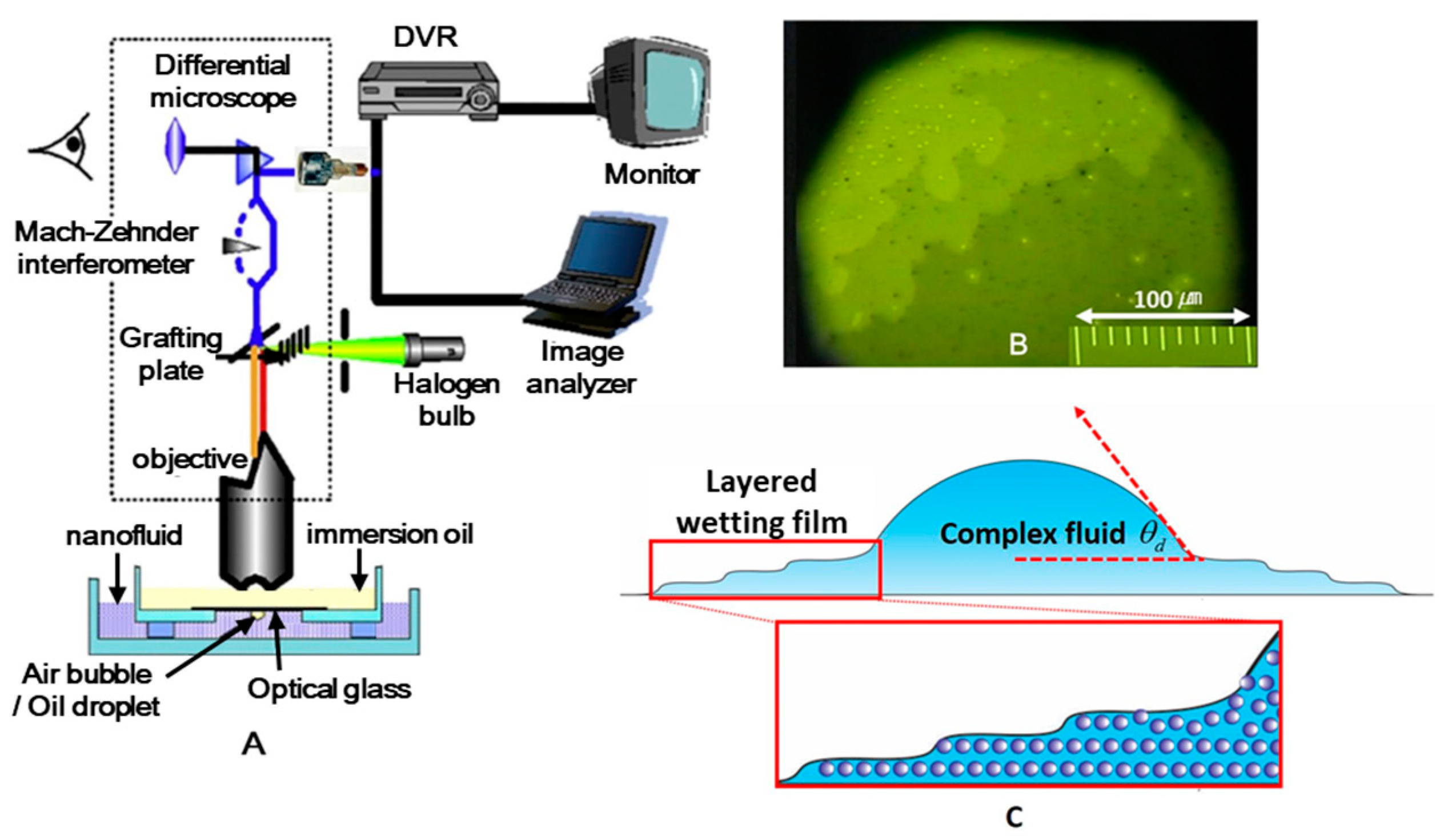 Colloids 07 00029 g008 Colloids 07 00029 g008