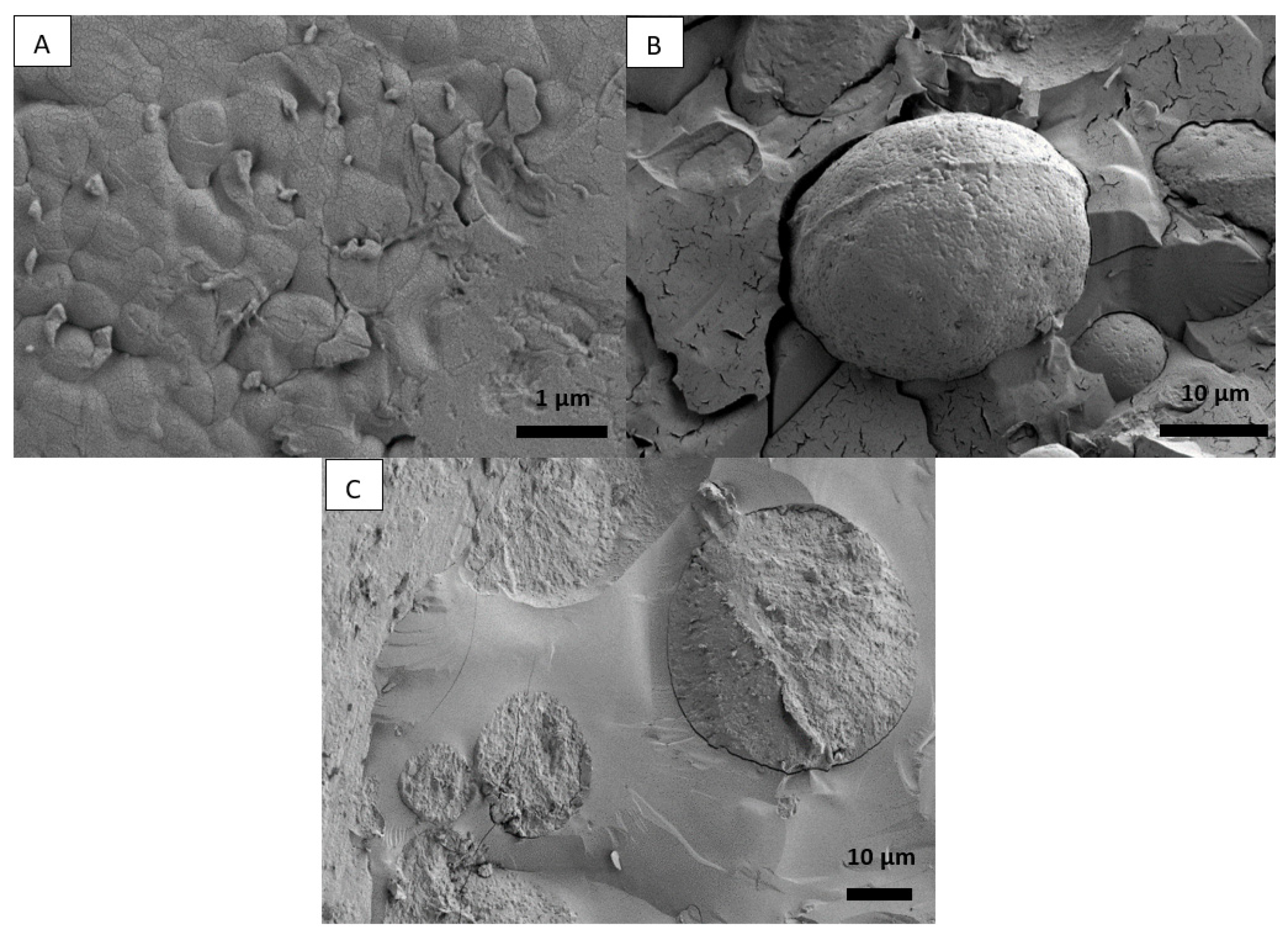 Colloids 07 00030 g004 Colloids 07 00030 g004