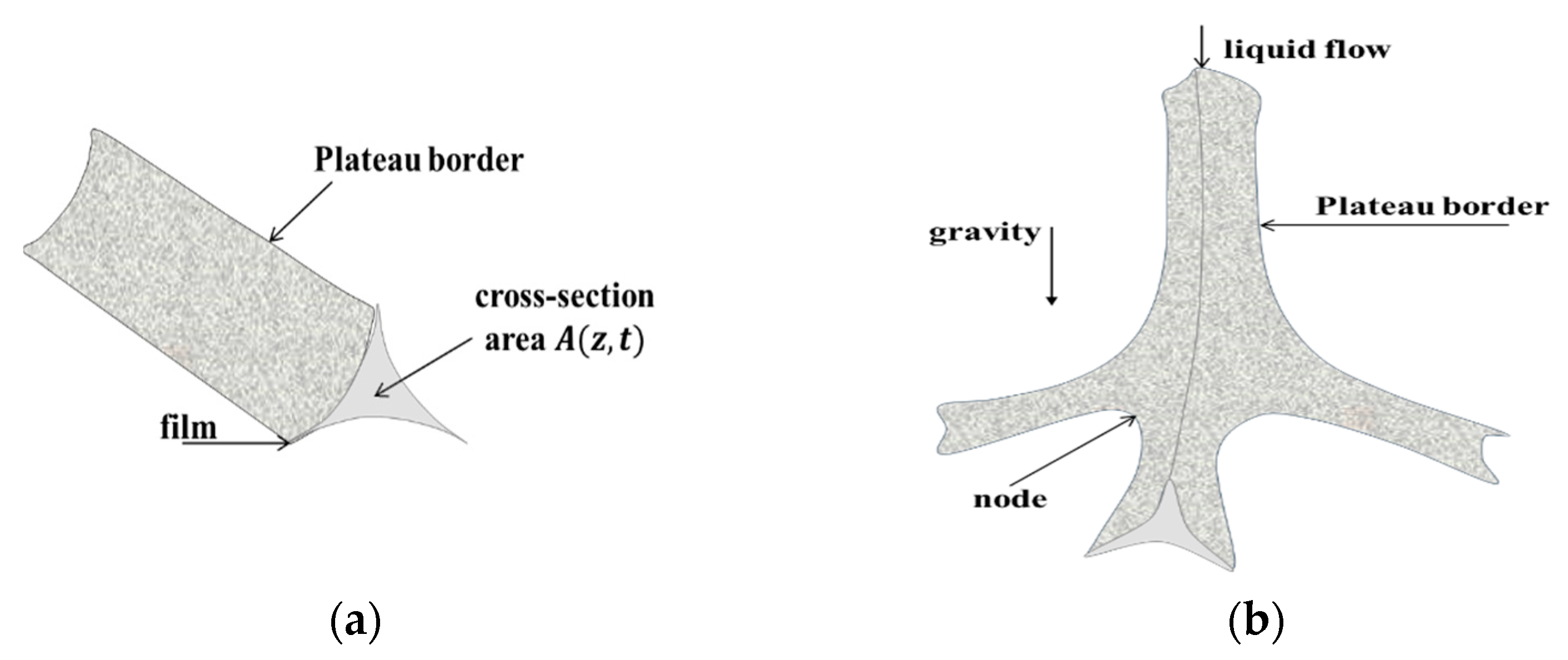 Colloids 07 00047 g001