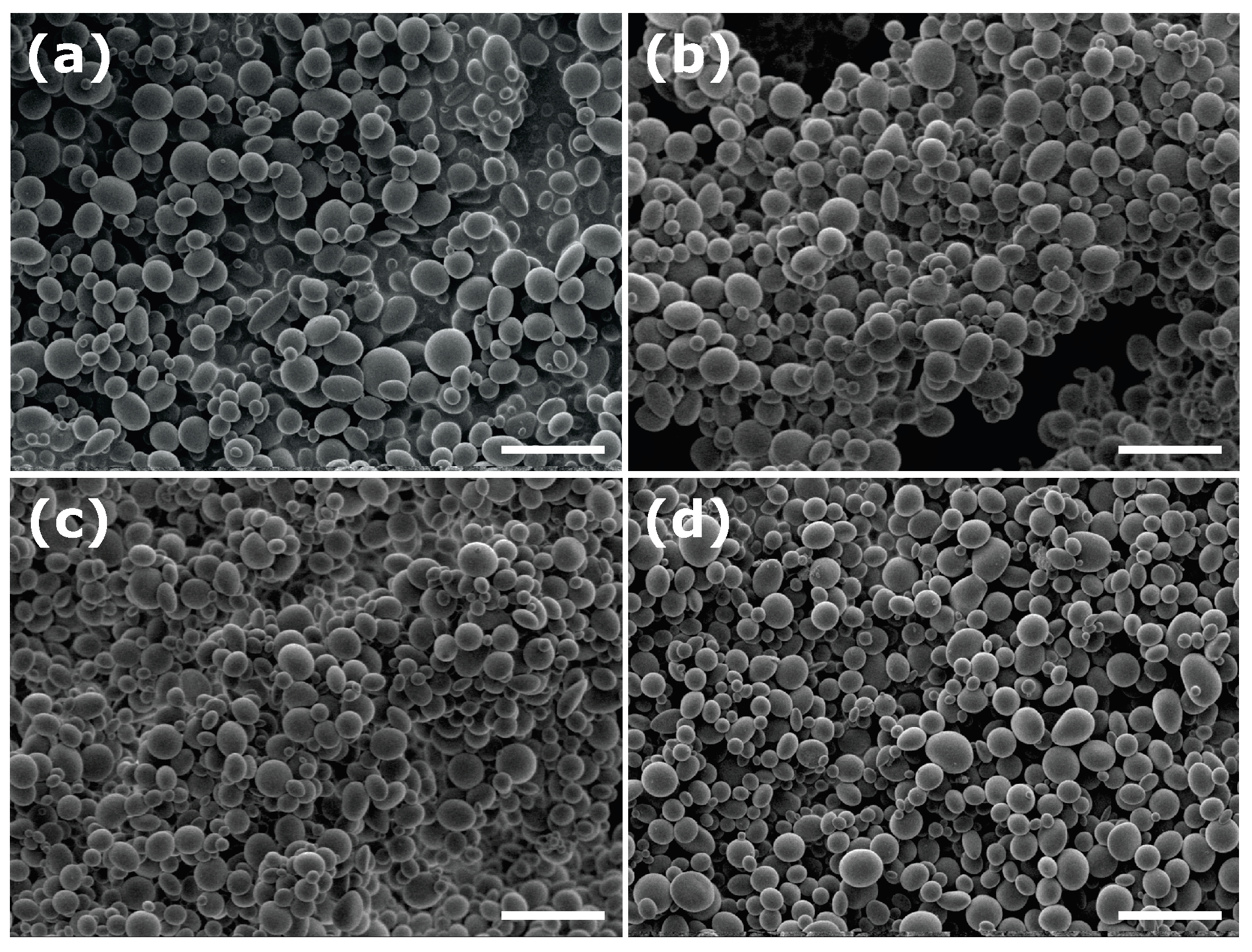 Colloids 07 00050 g005