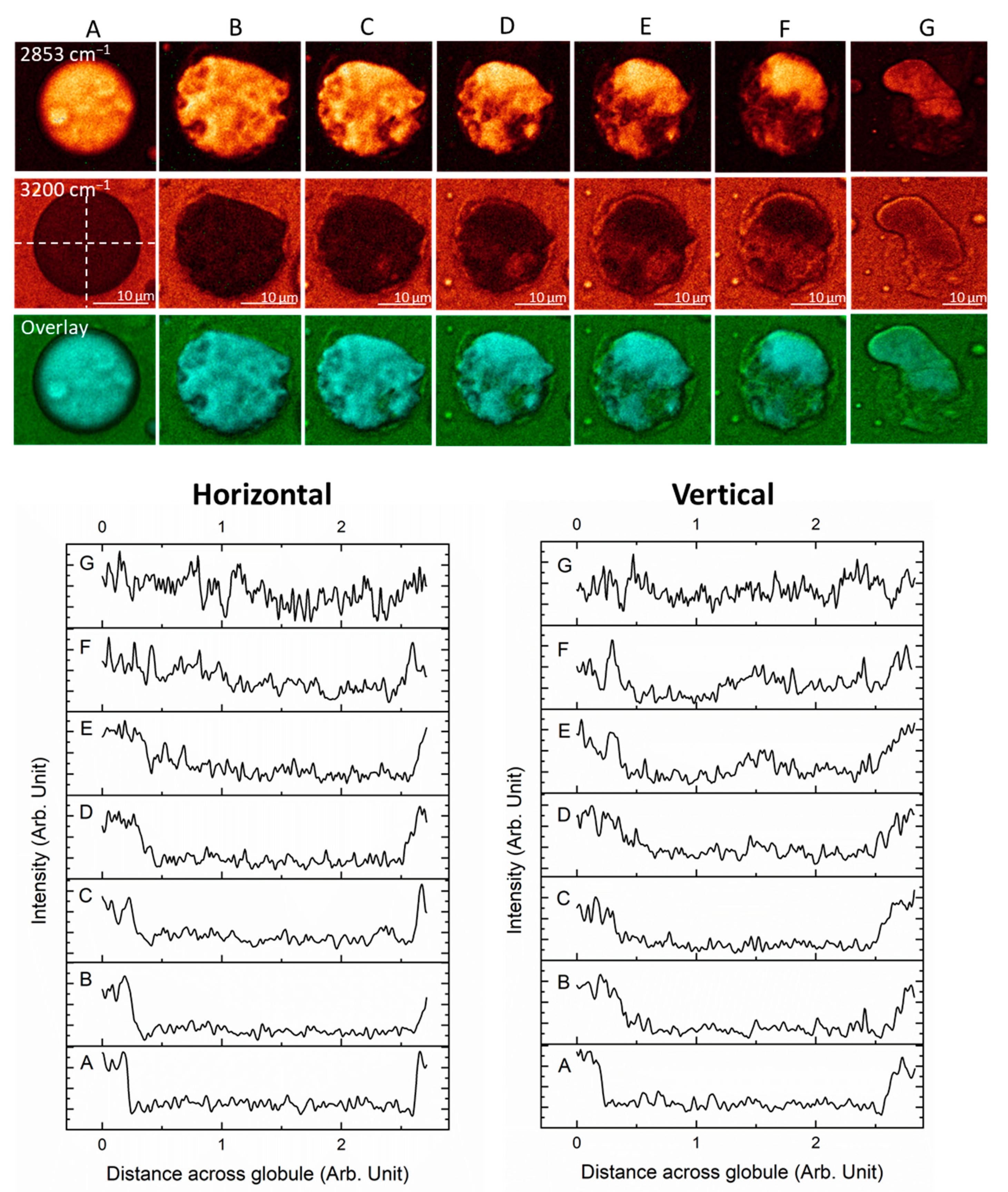 Colloids 07 00056 g006