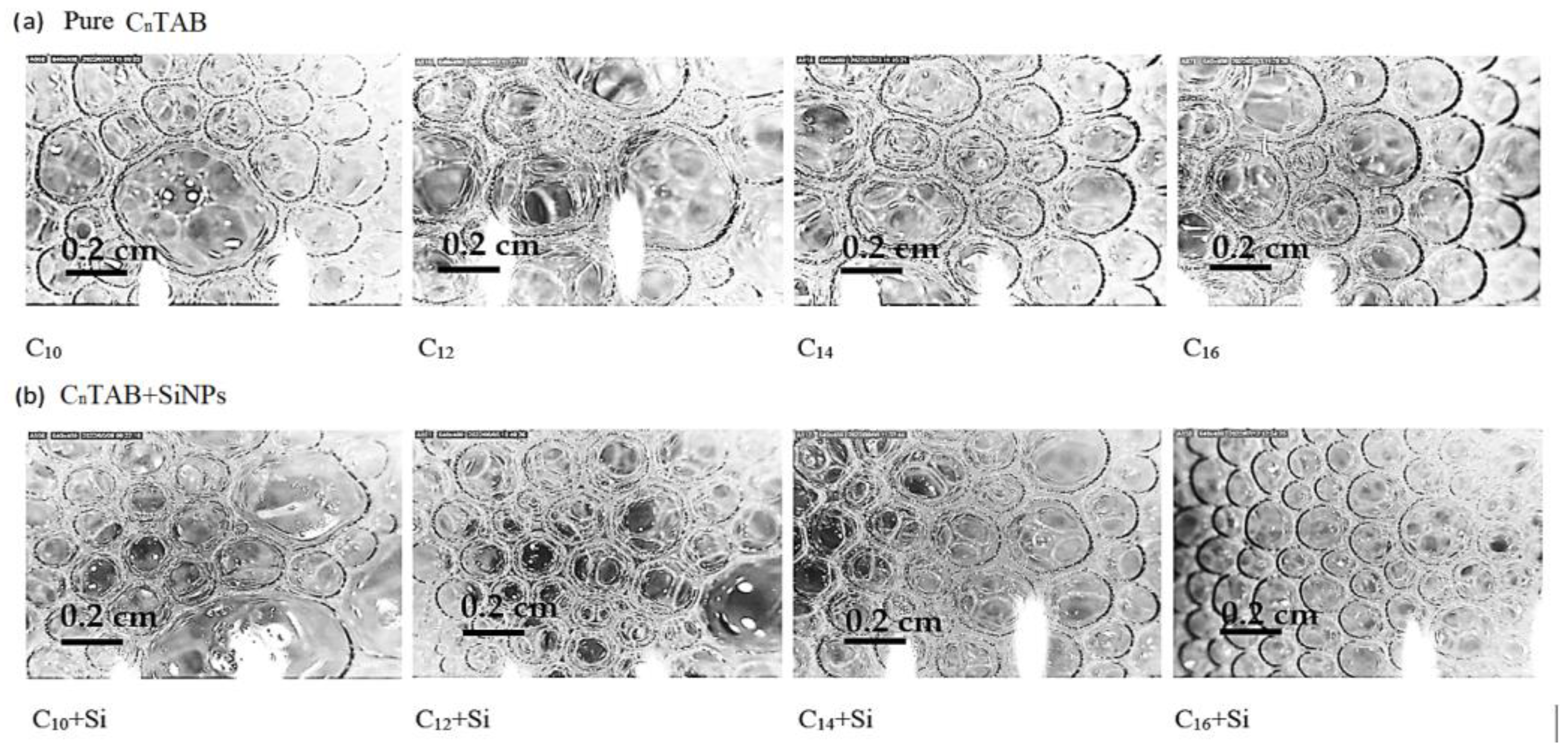 Colloids 07 00057 g005