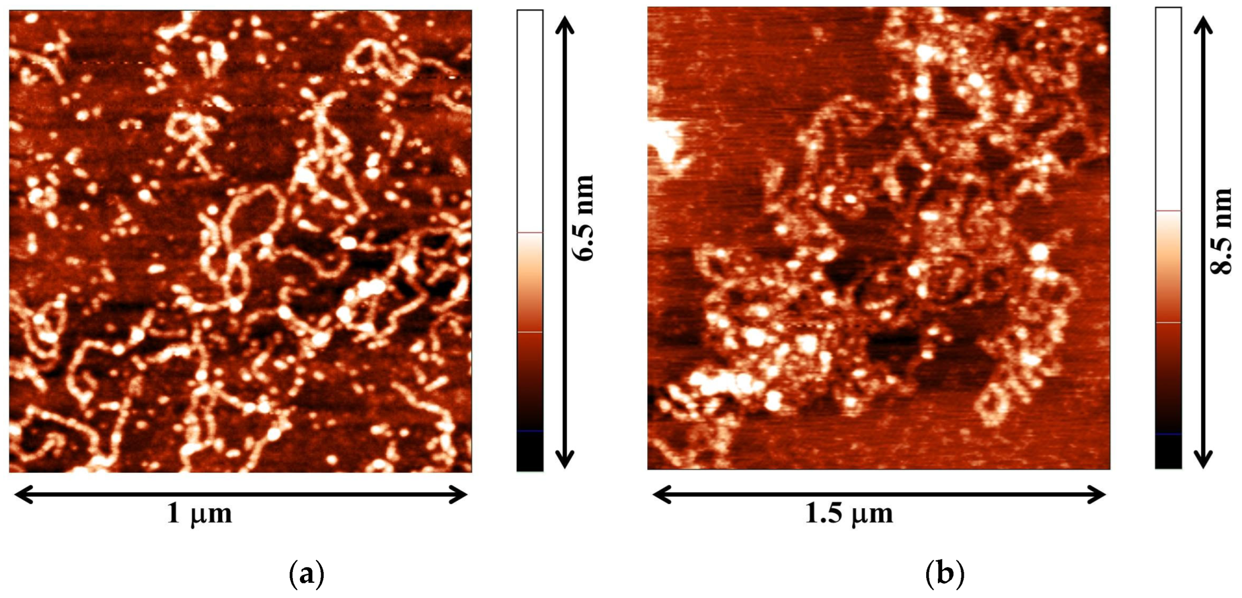 Colloids 07 00059 g001
