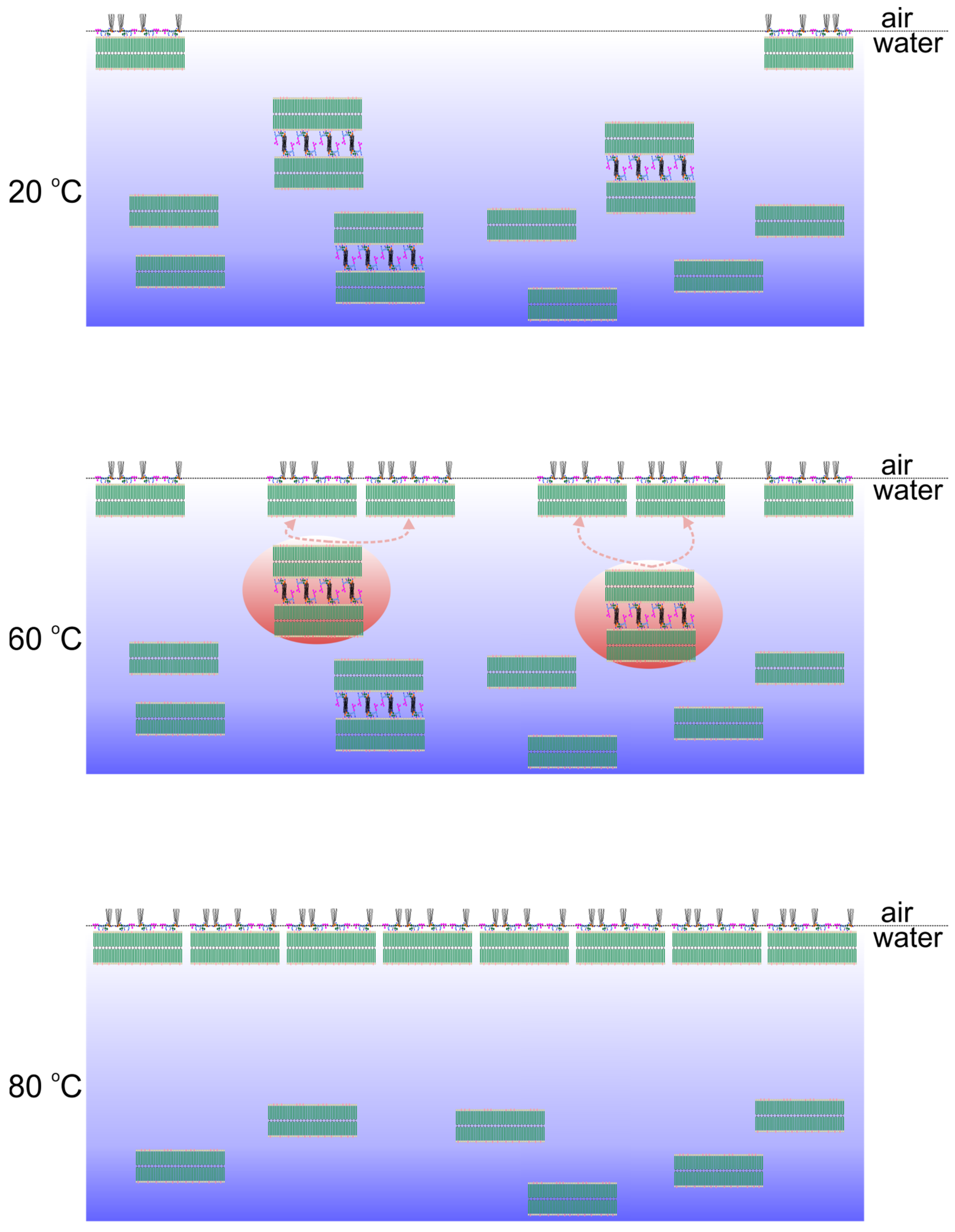 Colloids 07 00062 sch001