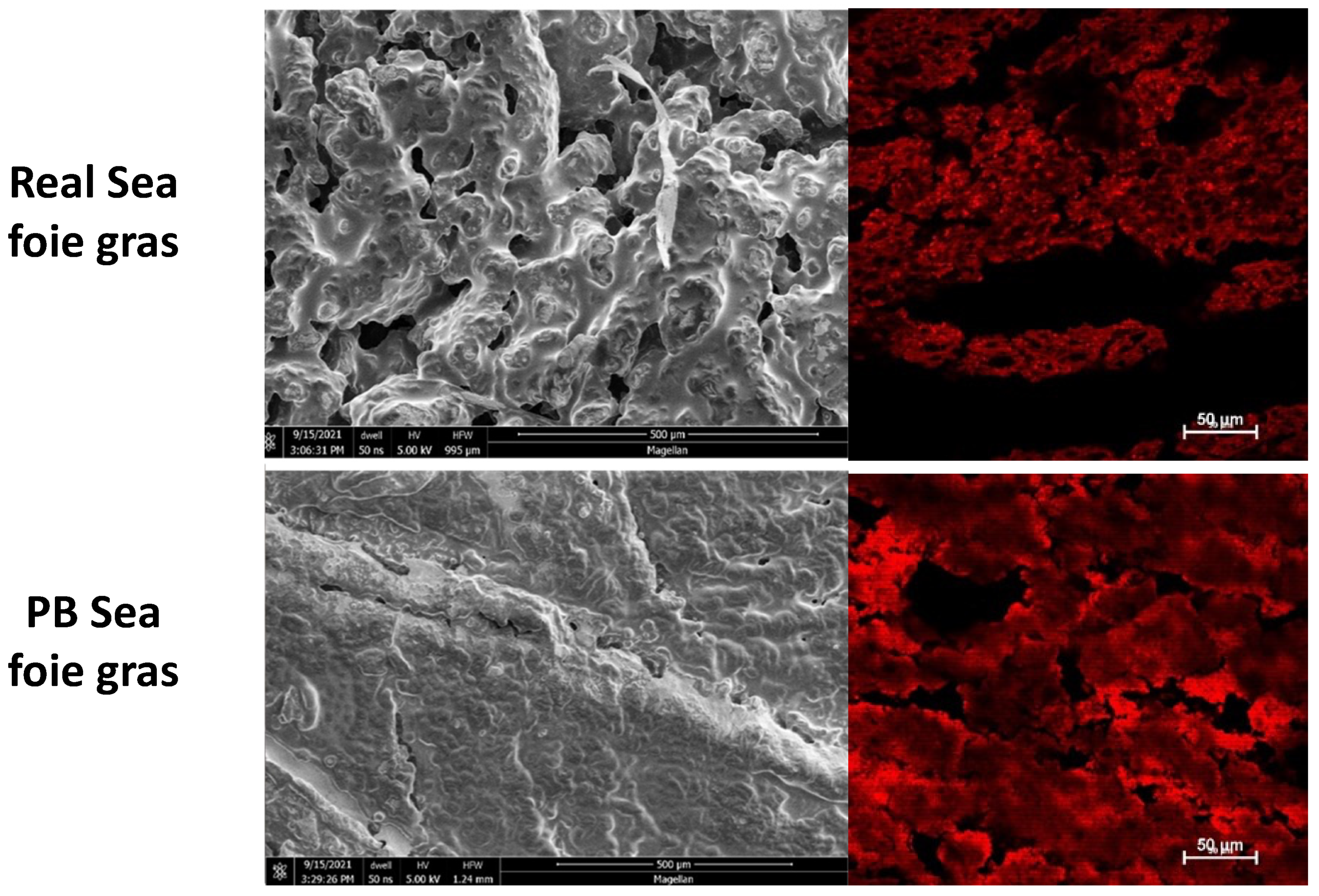 Colloids 07 00065 g012