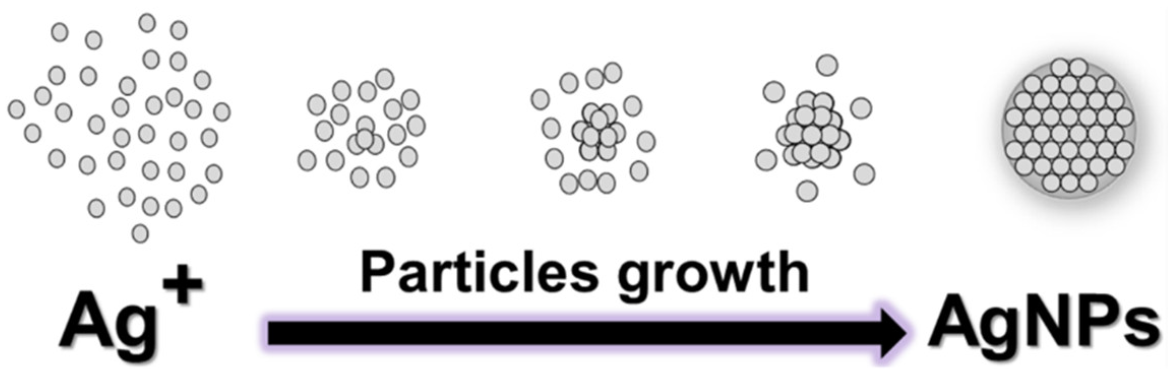 Colloids 07 00066 g001