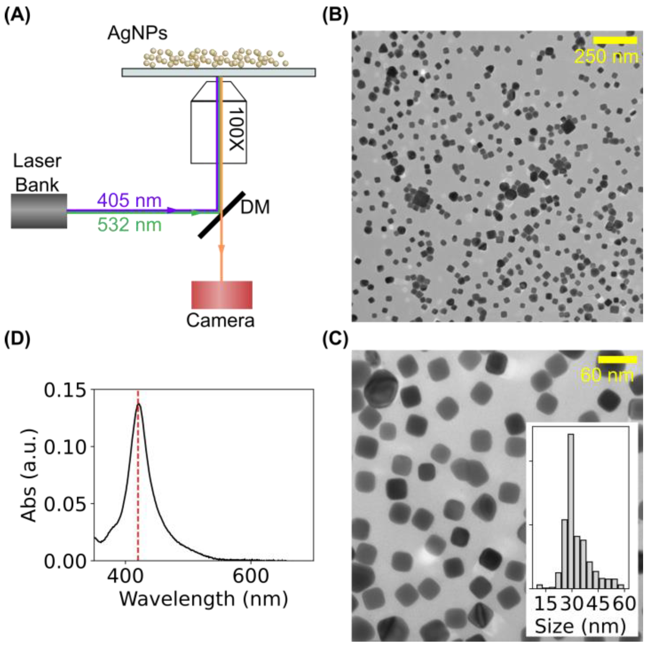 Colloids 07 00067 g001