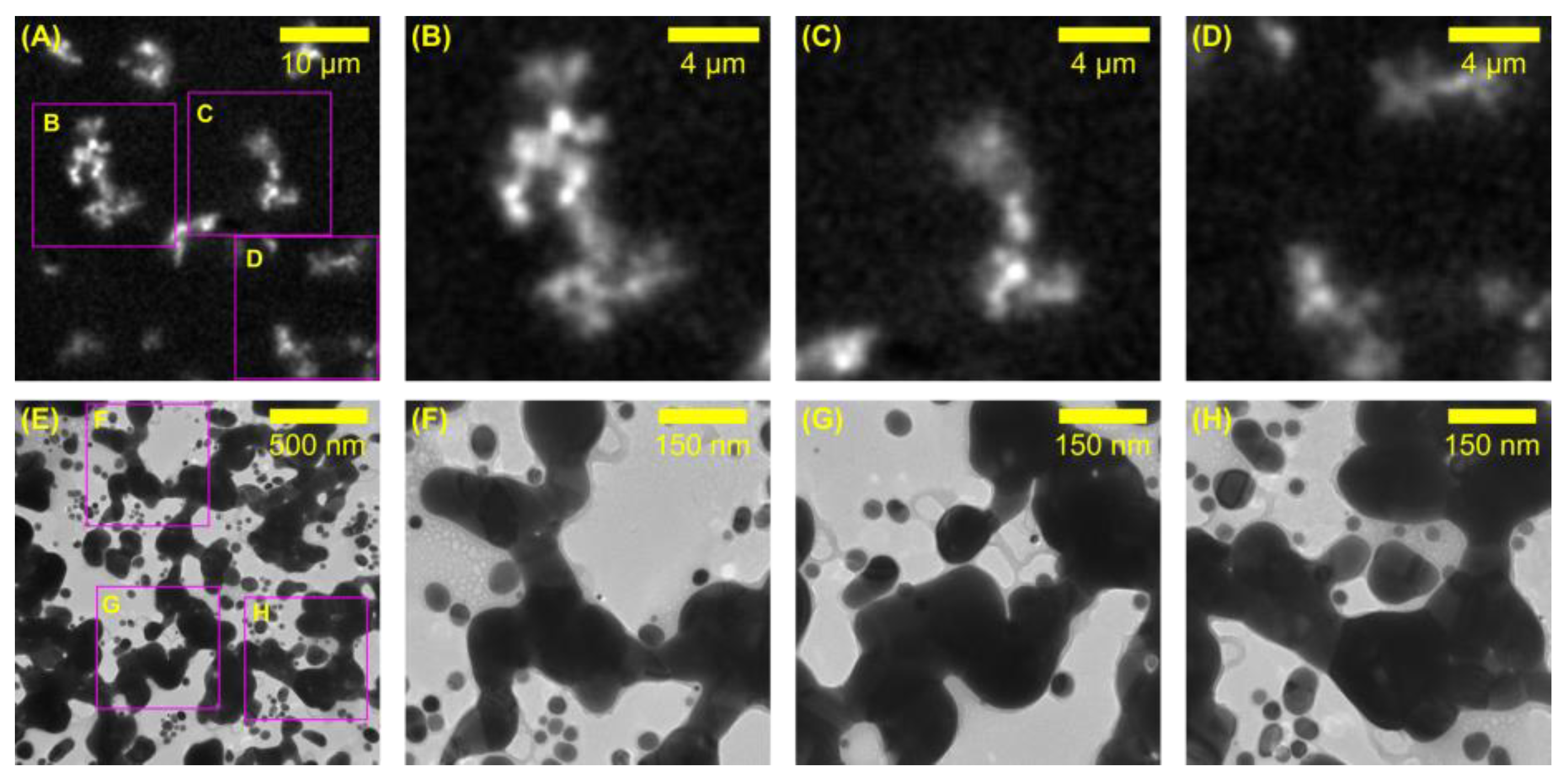 Colloids 07 00067 g002