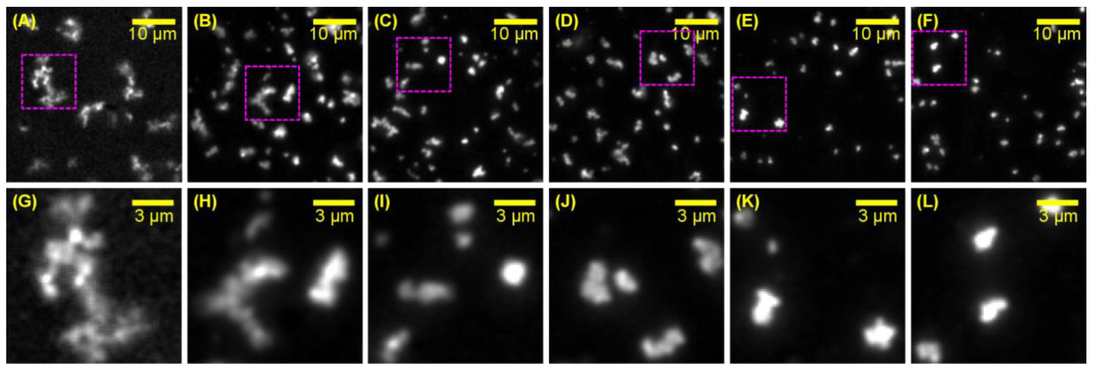Colloids 07 00067 g003