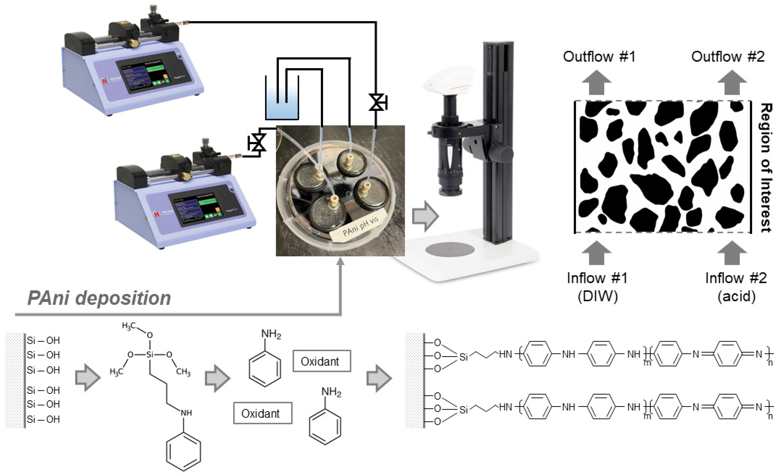 Colloids 08 00009 g002