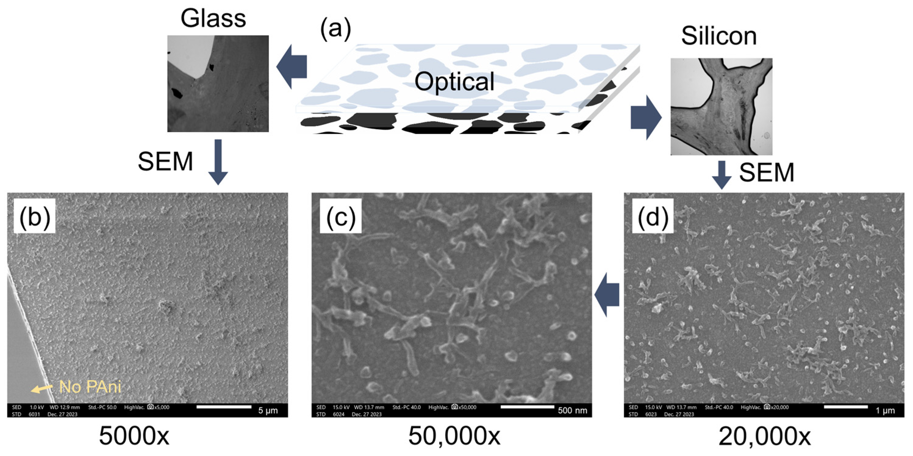 Colloids 08 00009 g003
