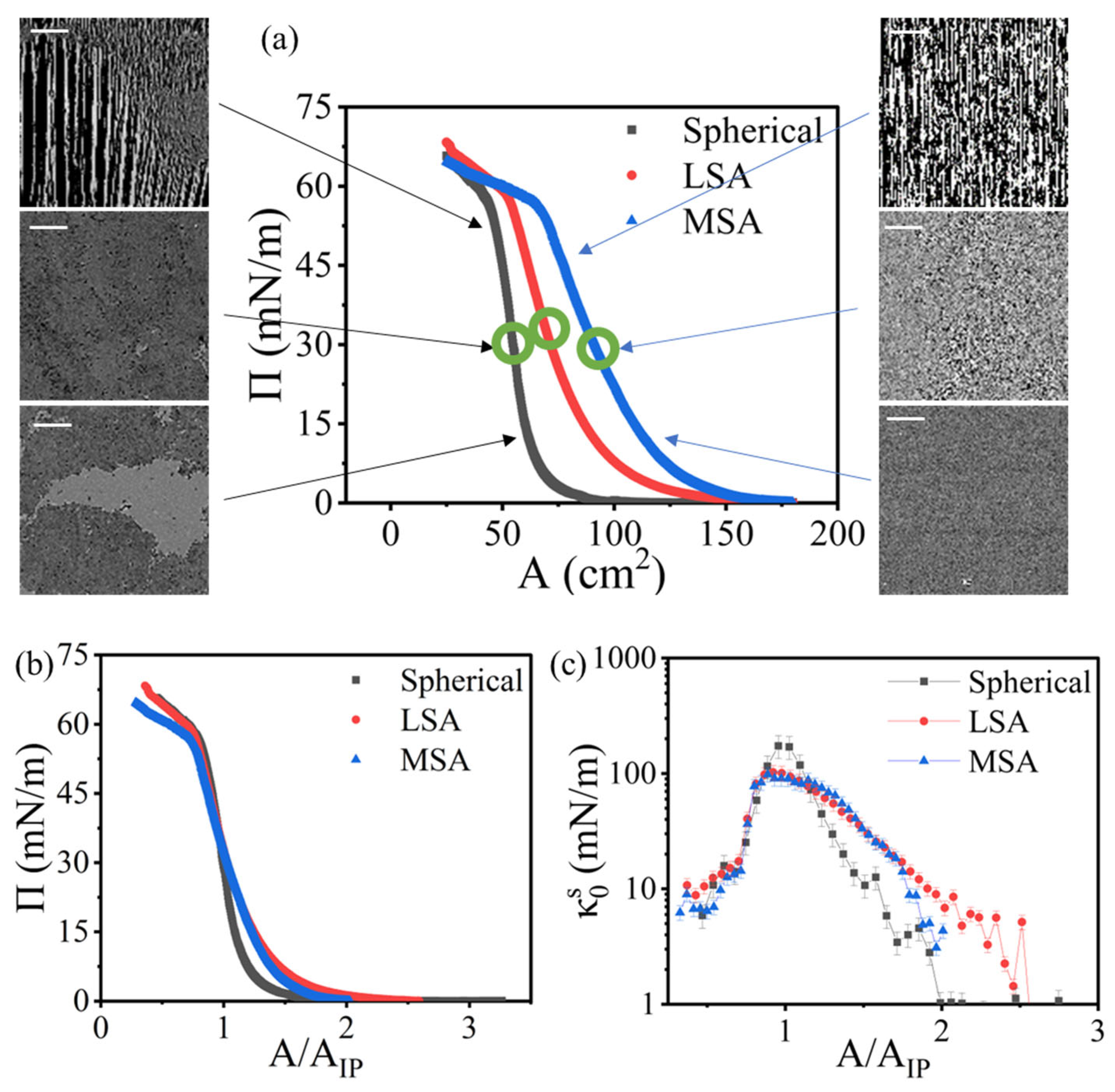 Colloids 08 00017 g003