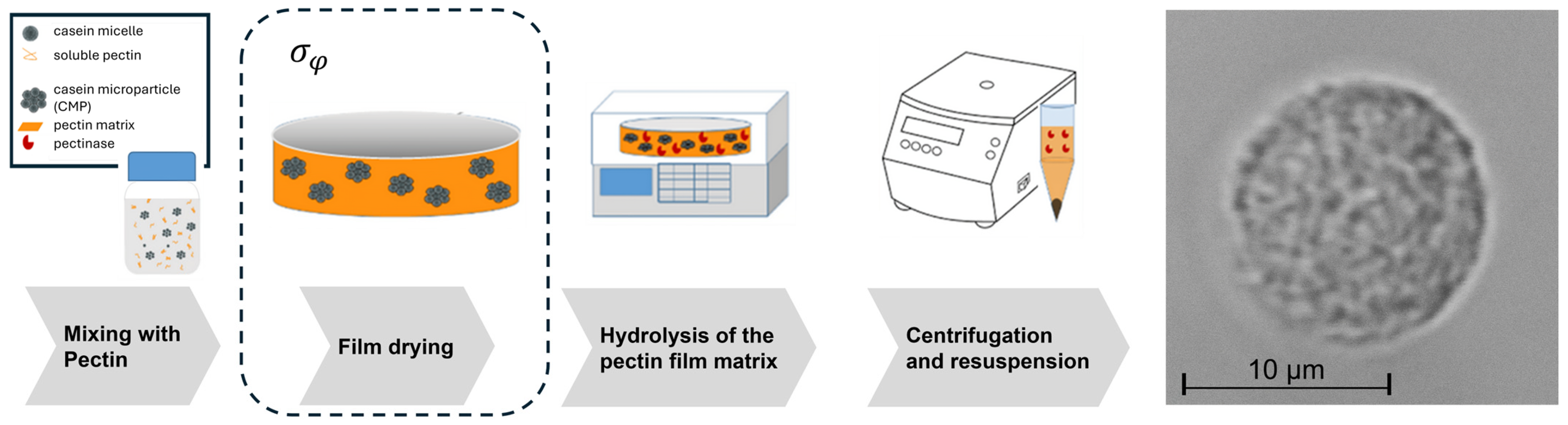 Colloids 08 00045 g001