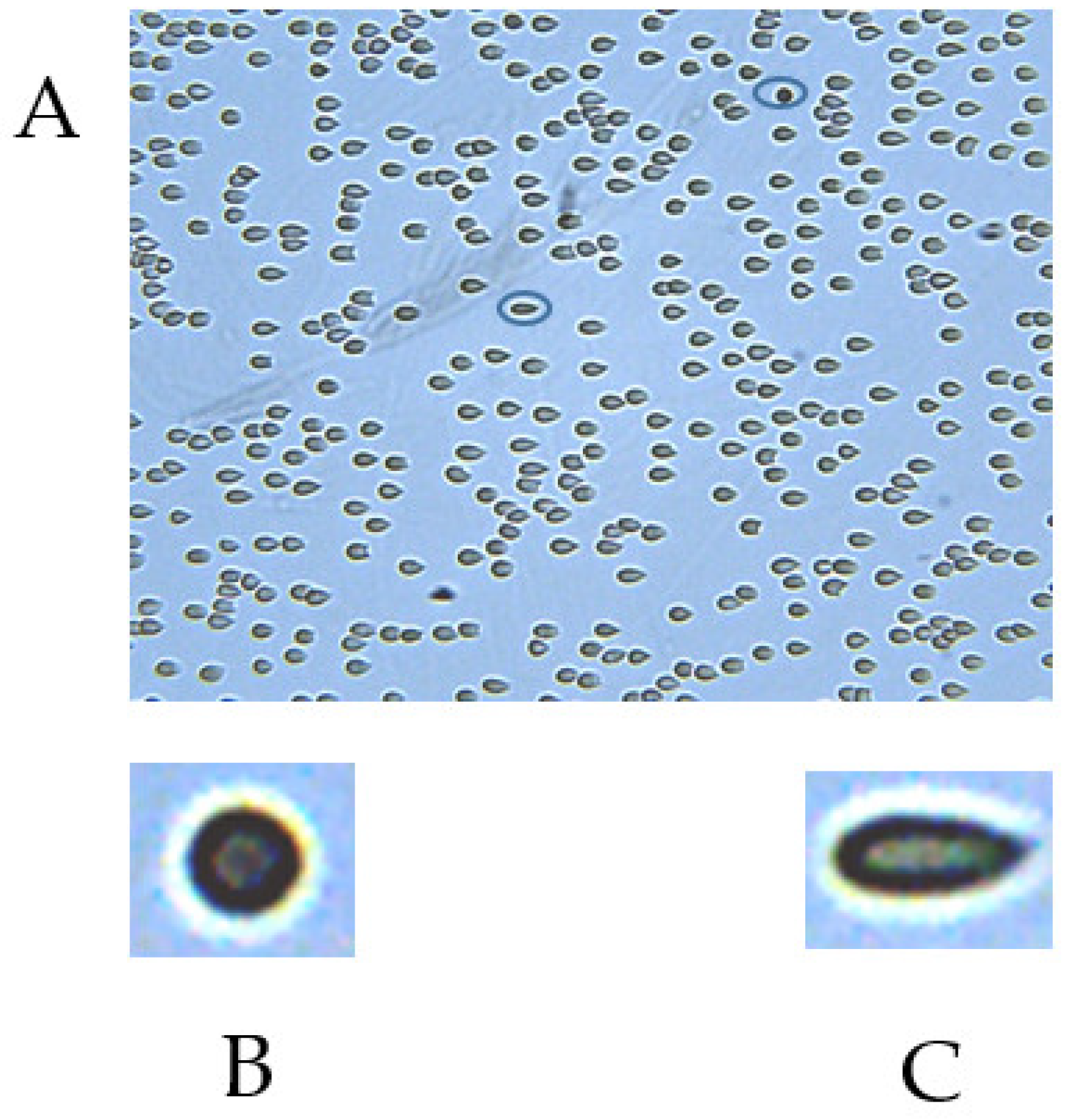Colloids 08 00047 g003