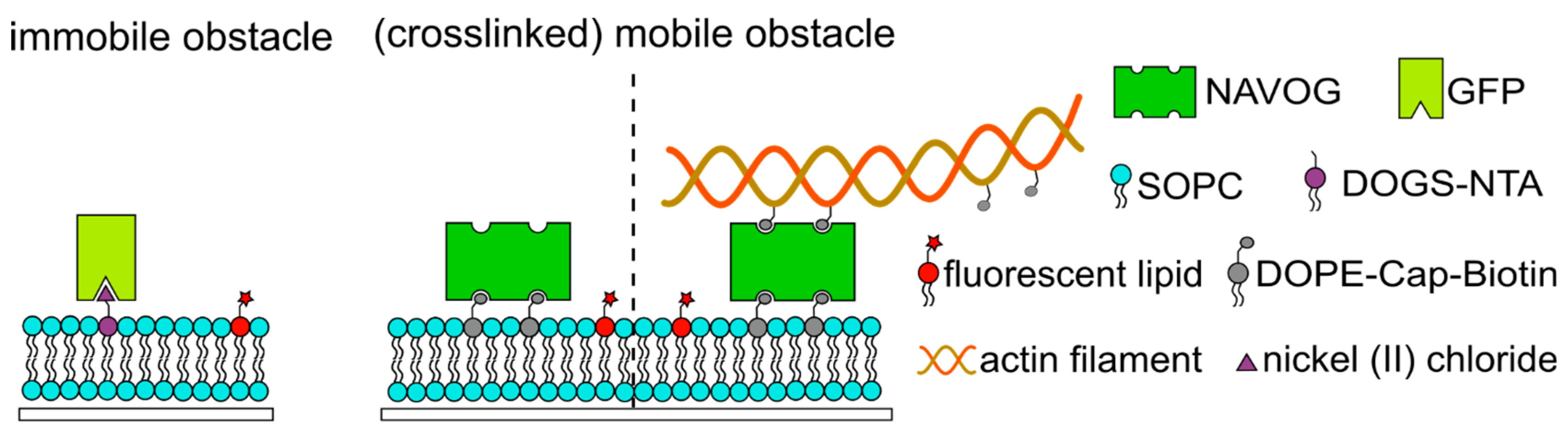 Colloids 08 00054 g001 Colloids 08 00054 g001
