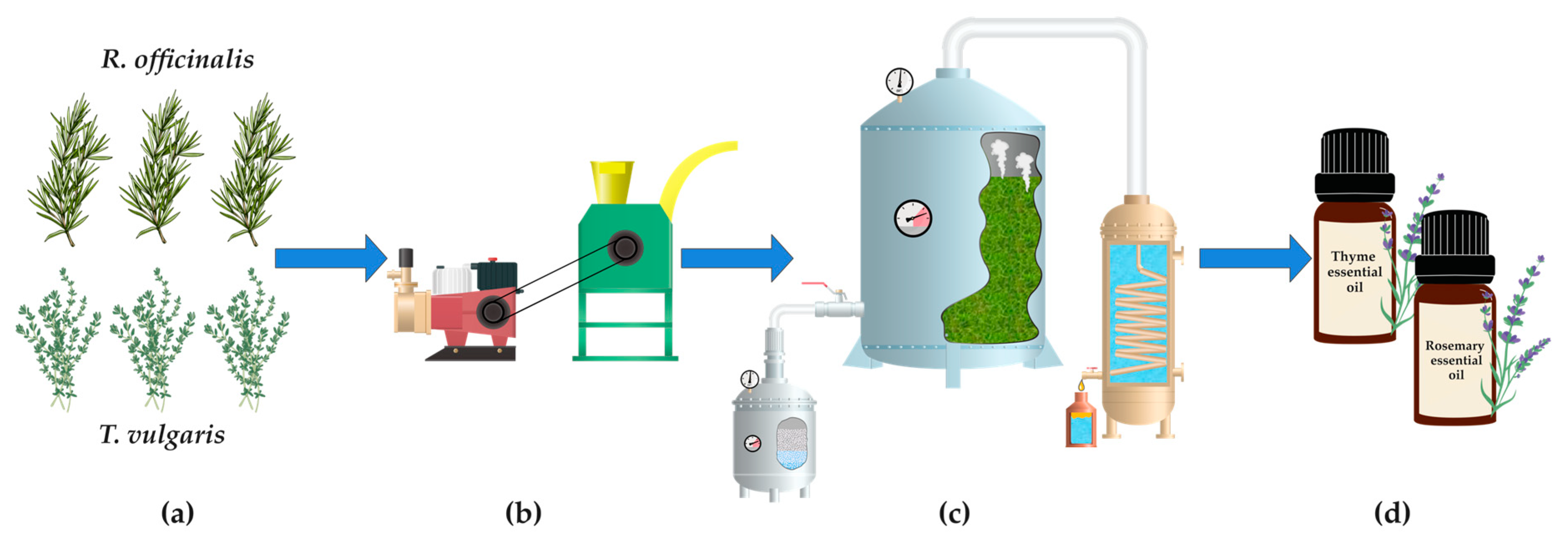 Colloids 08 00055 g001