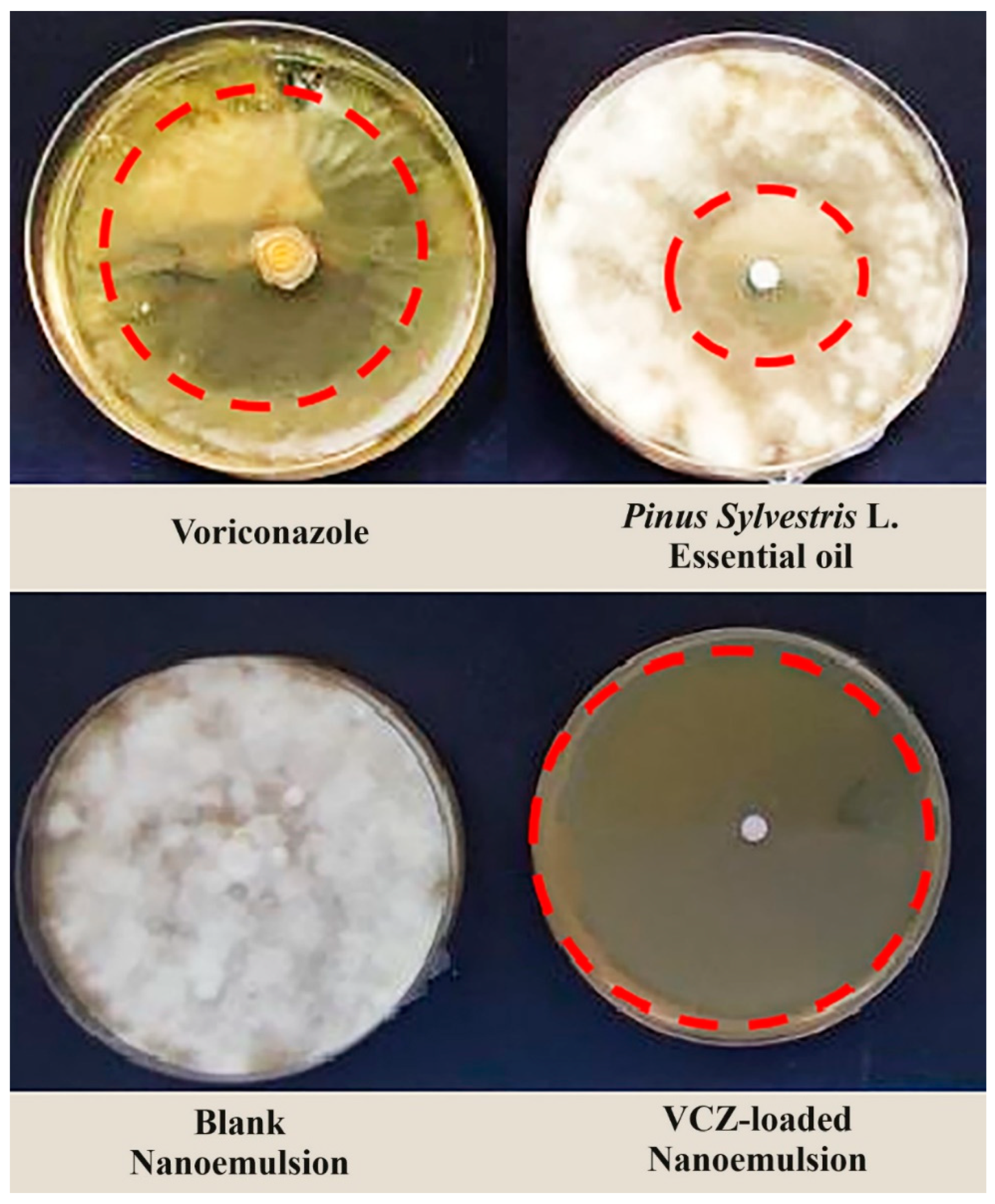 Colloids 08 00056 g006
