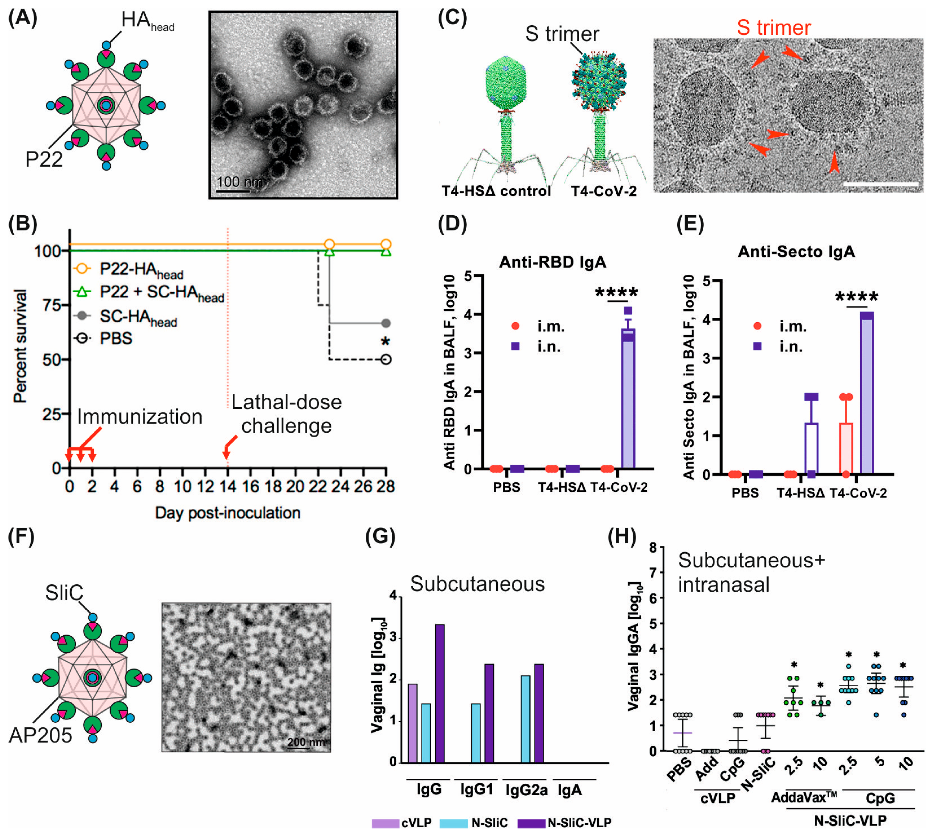 Colloids 08 00068 g002 Colloids 08 00068 g002