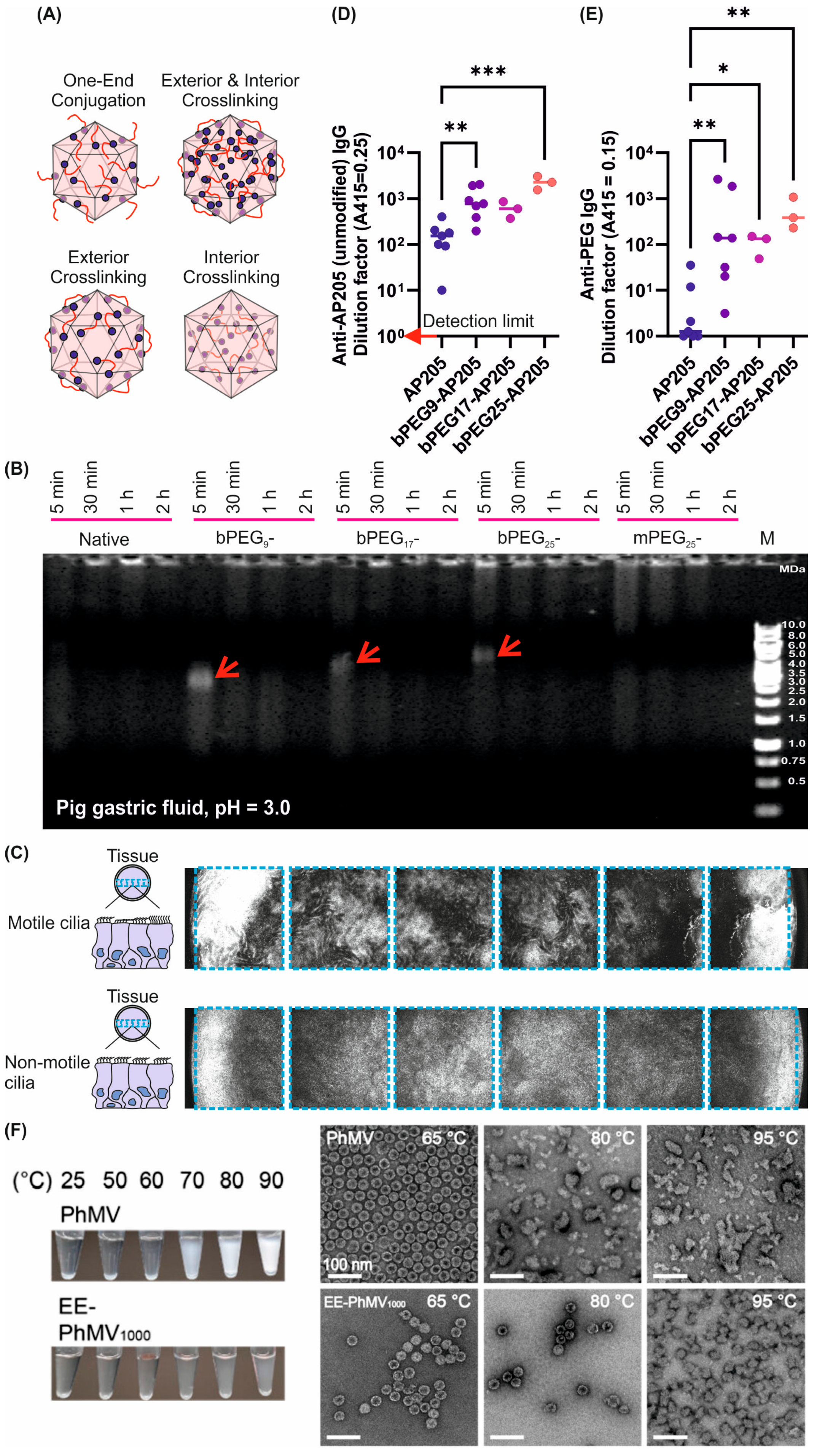 Colloids 08 00068 g003 Colloids 08 00068 g003