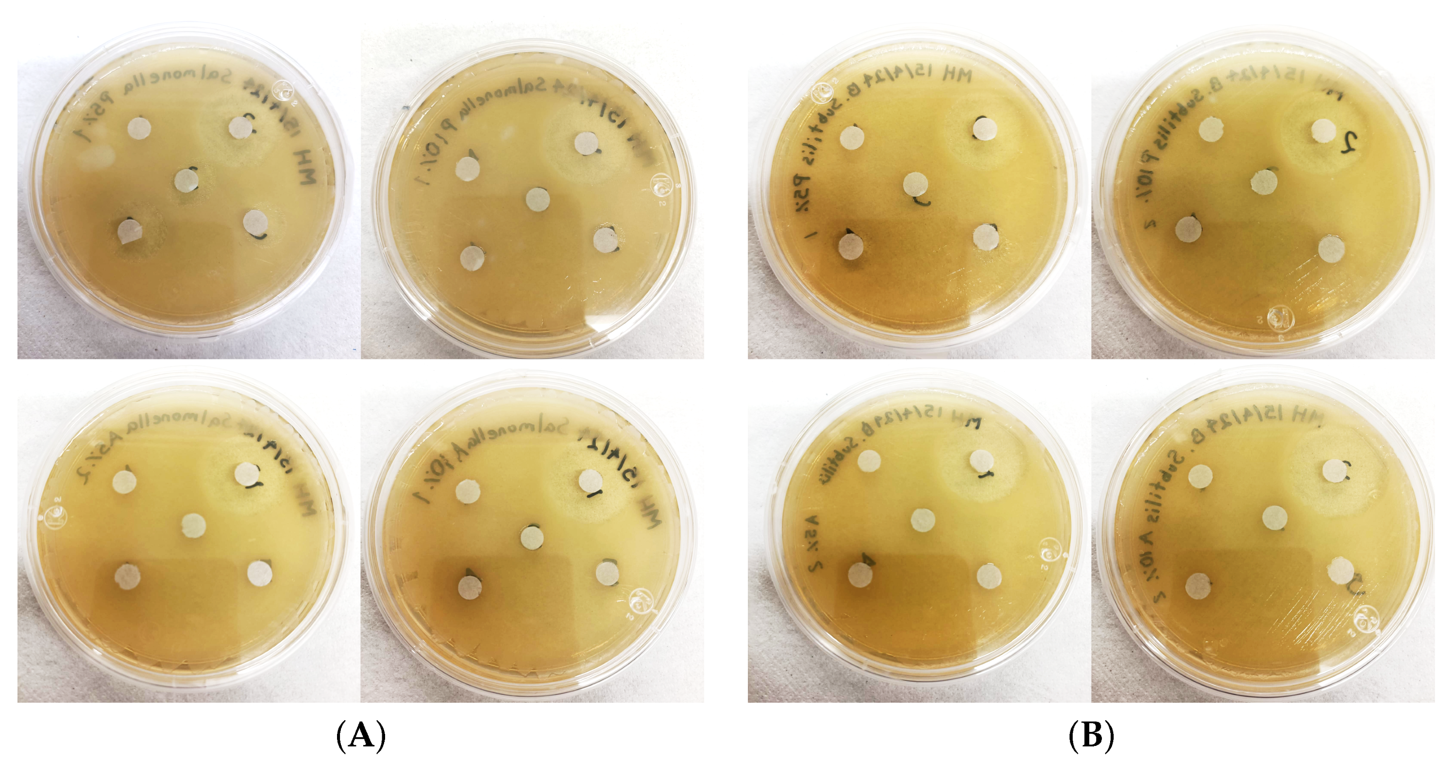 Colloids 09 00005 g008