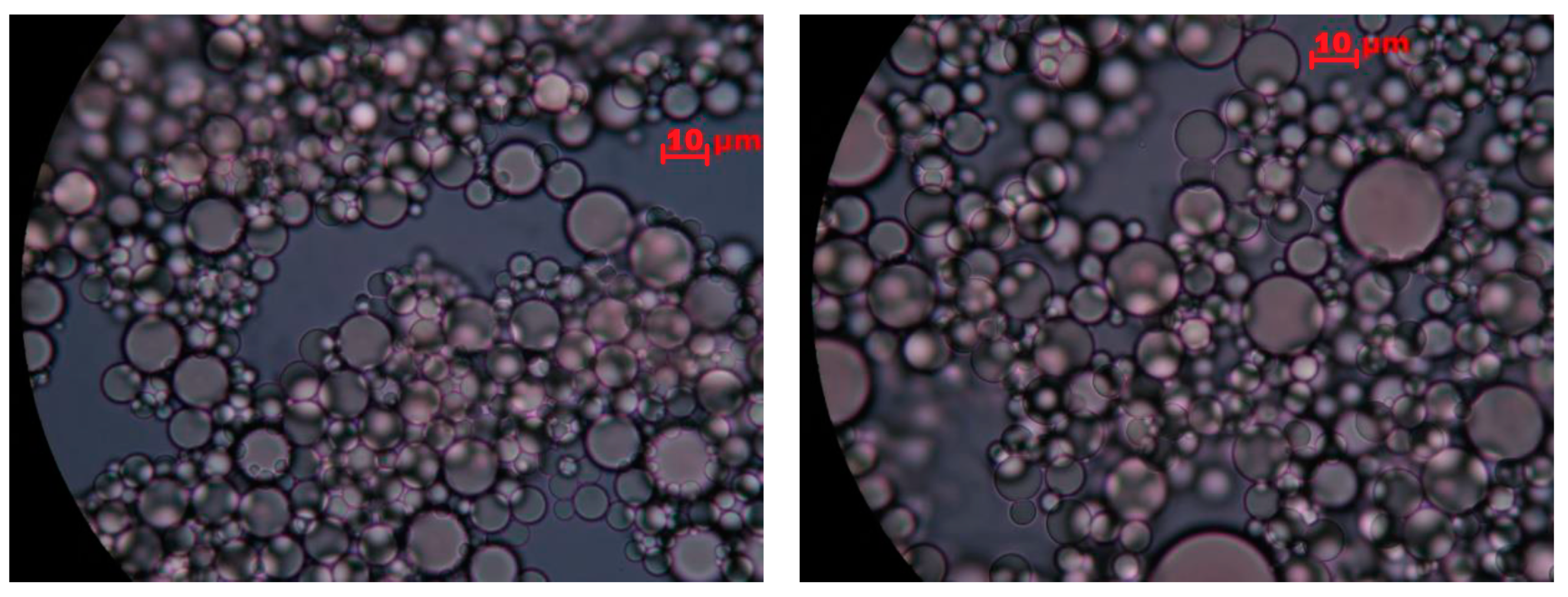 Colloids 09 00006 g001