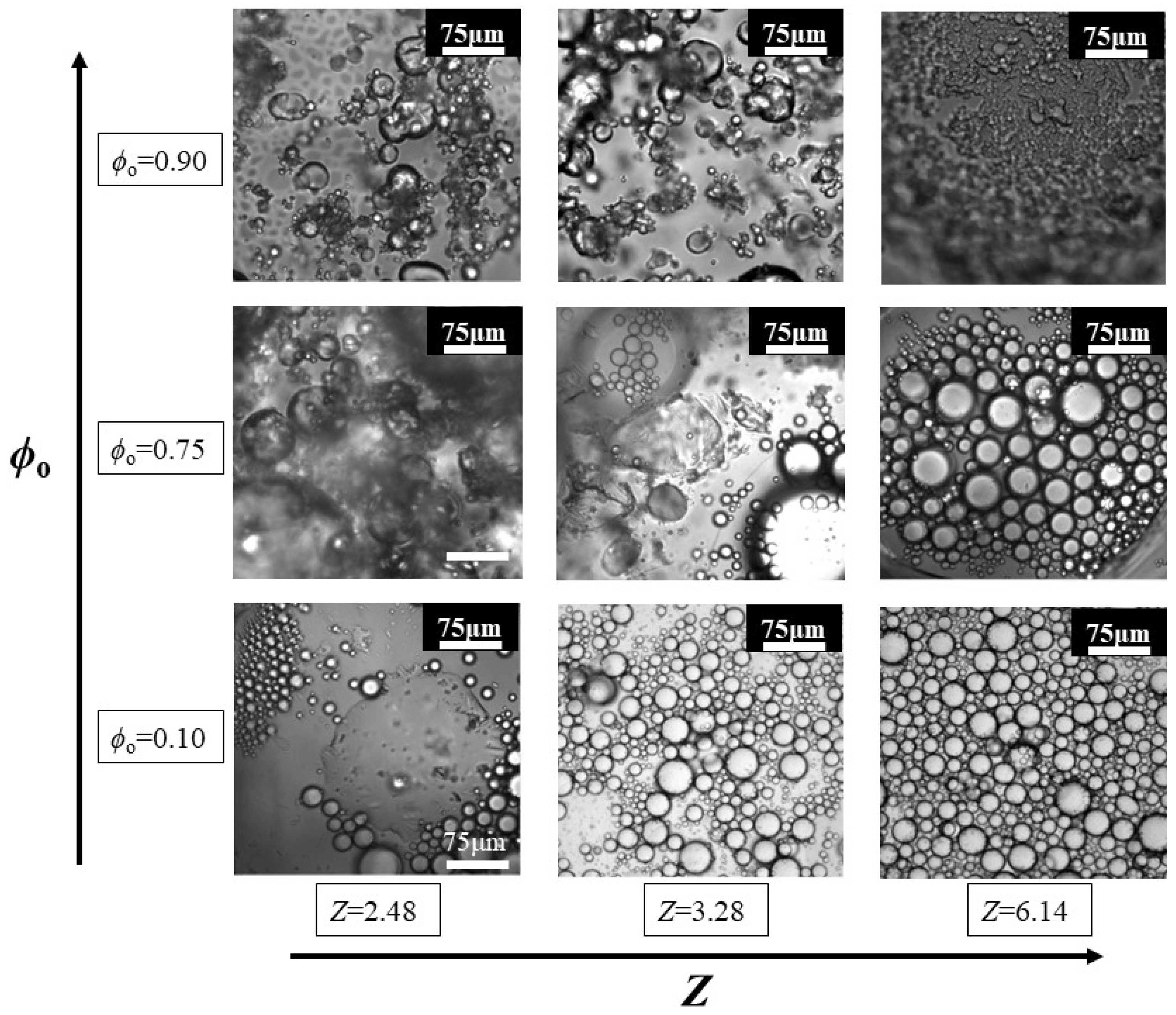 Colloids 09 00009 g010