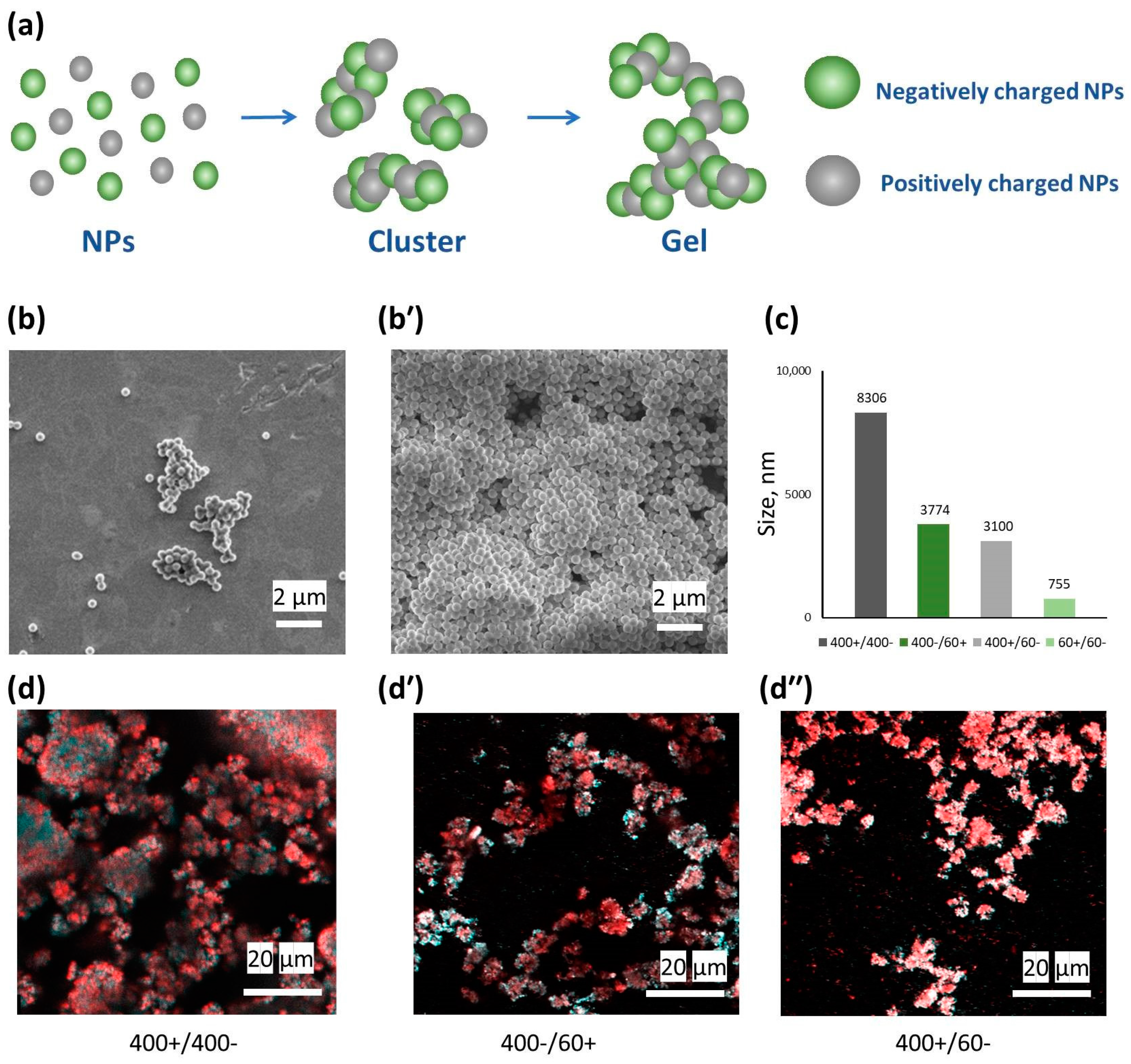 Colloids 09 00011 g005