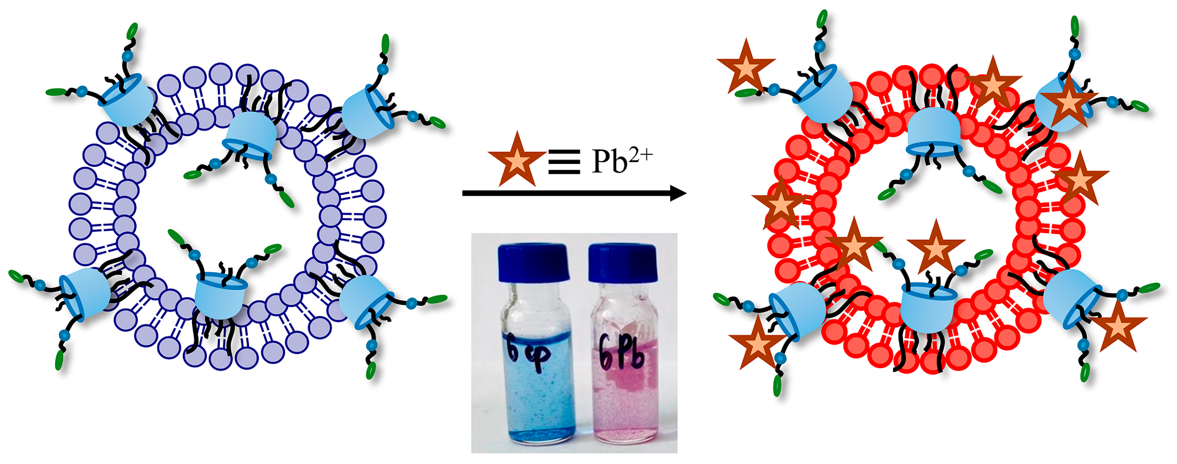 Colloids 09 00020 sch002 Colloids 09 00020 sch002