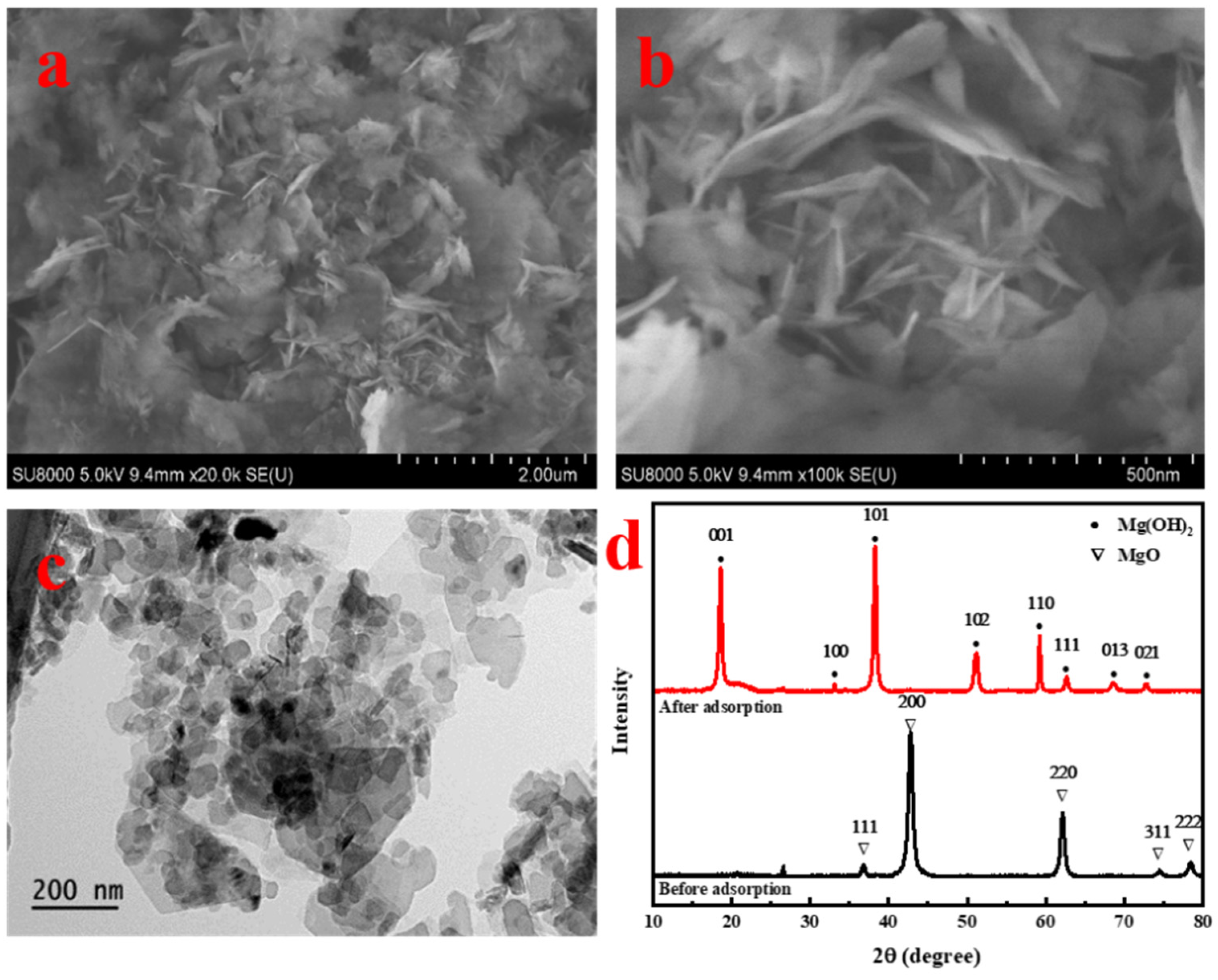 Colloids 09 00022 g005