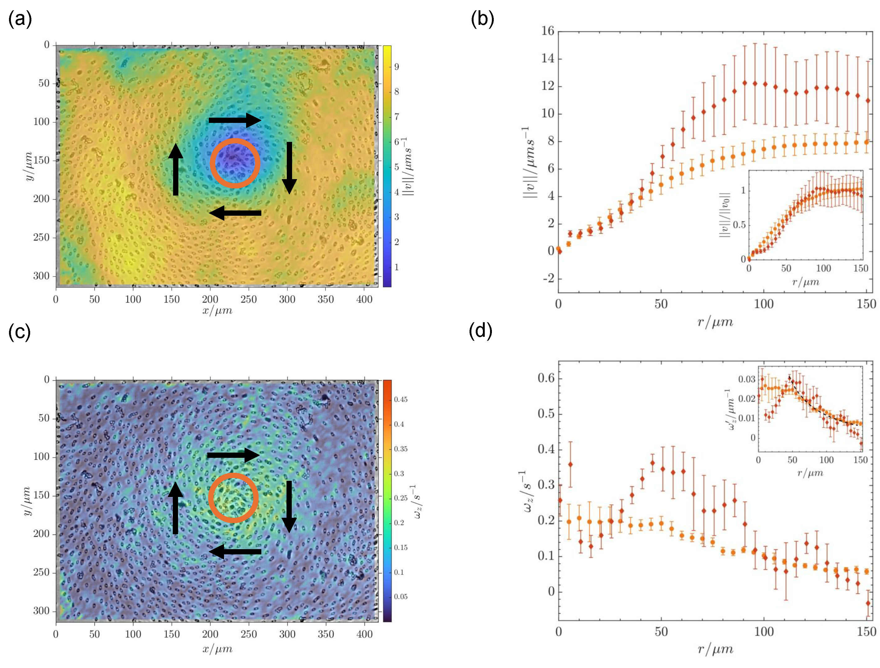 Colloids 09 00027 g004