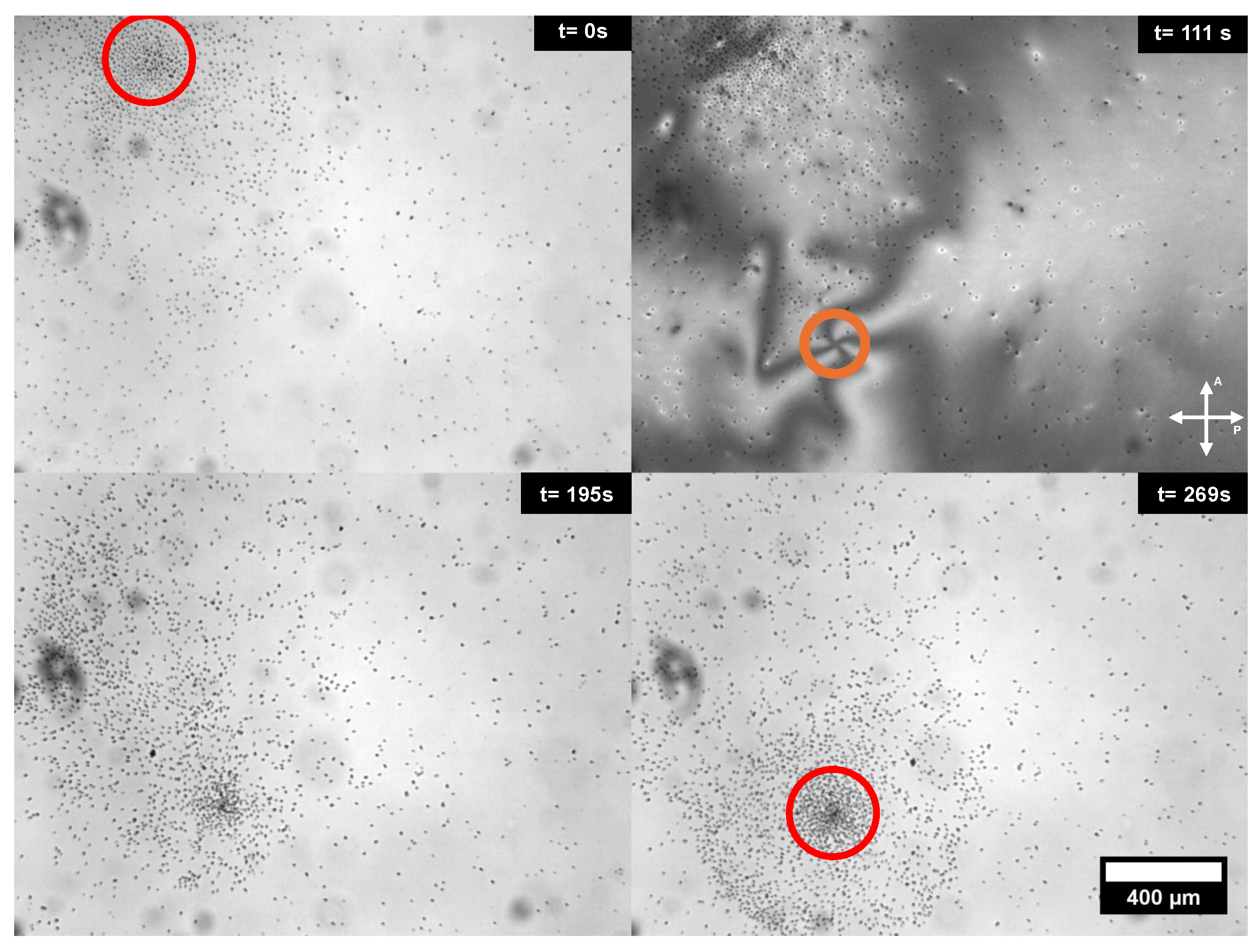 Colloids 09 00027 g005