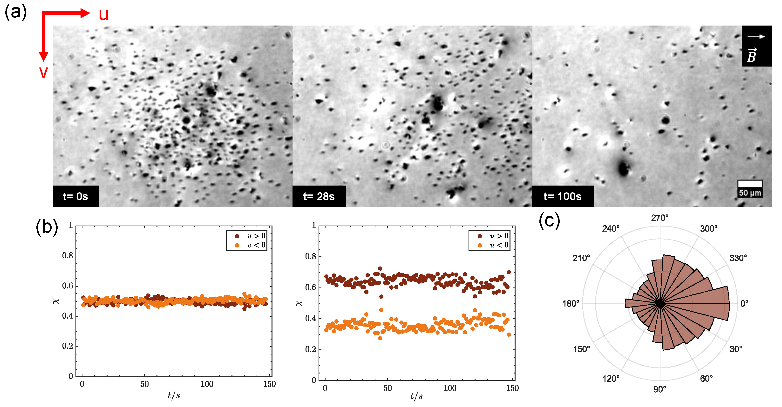 Colloids 09 00027 g006