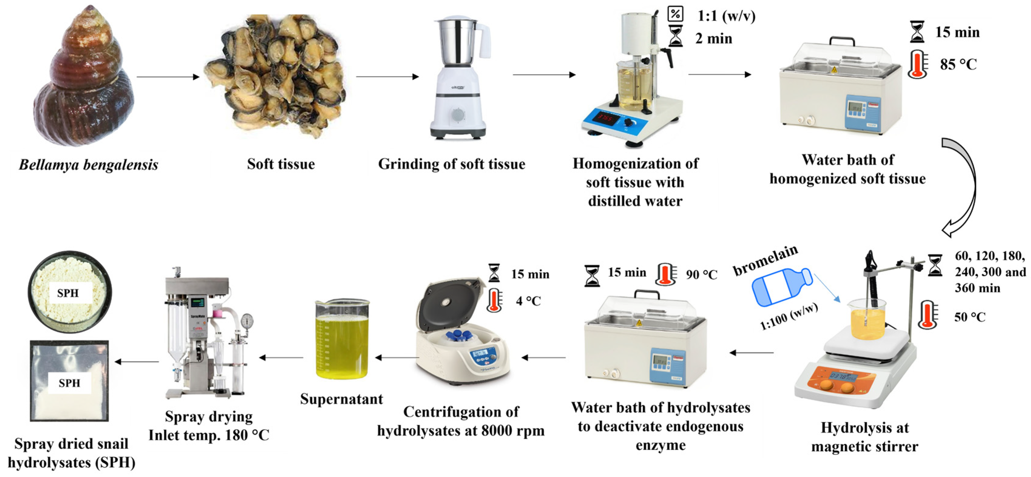 Colloids 09 00029 g001